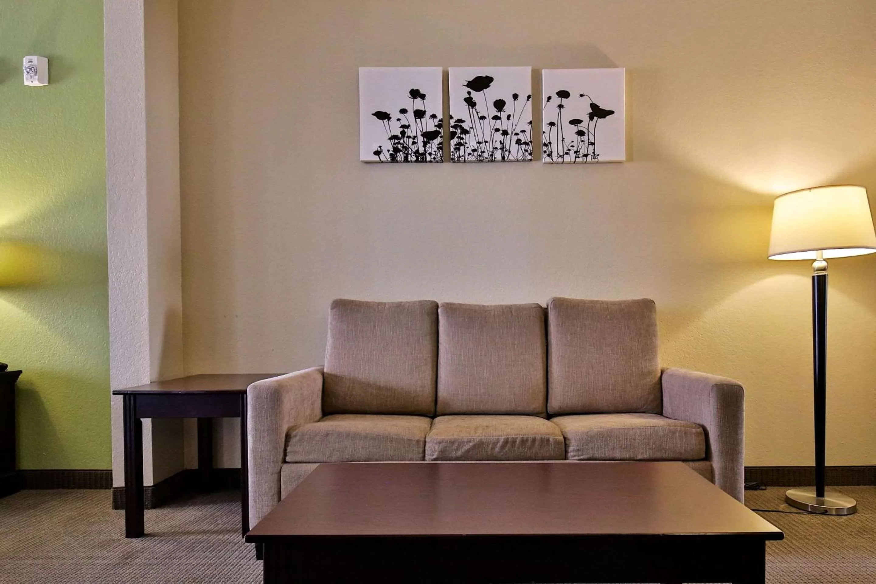 Photo of the whole room in Sleep Inn & Suites Abilene Near University