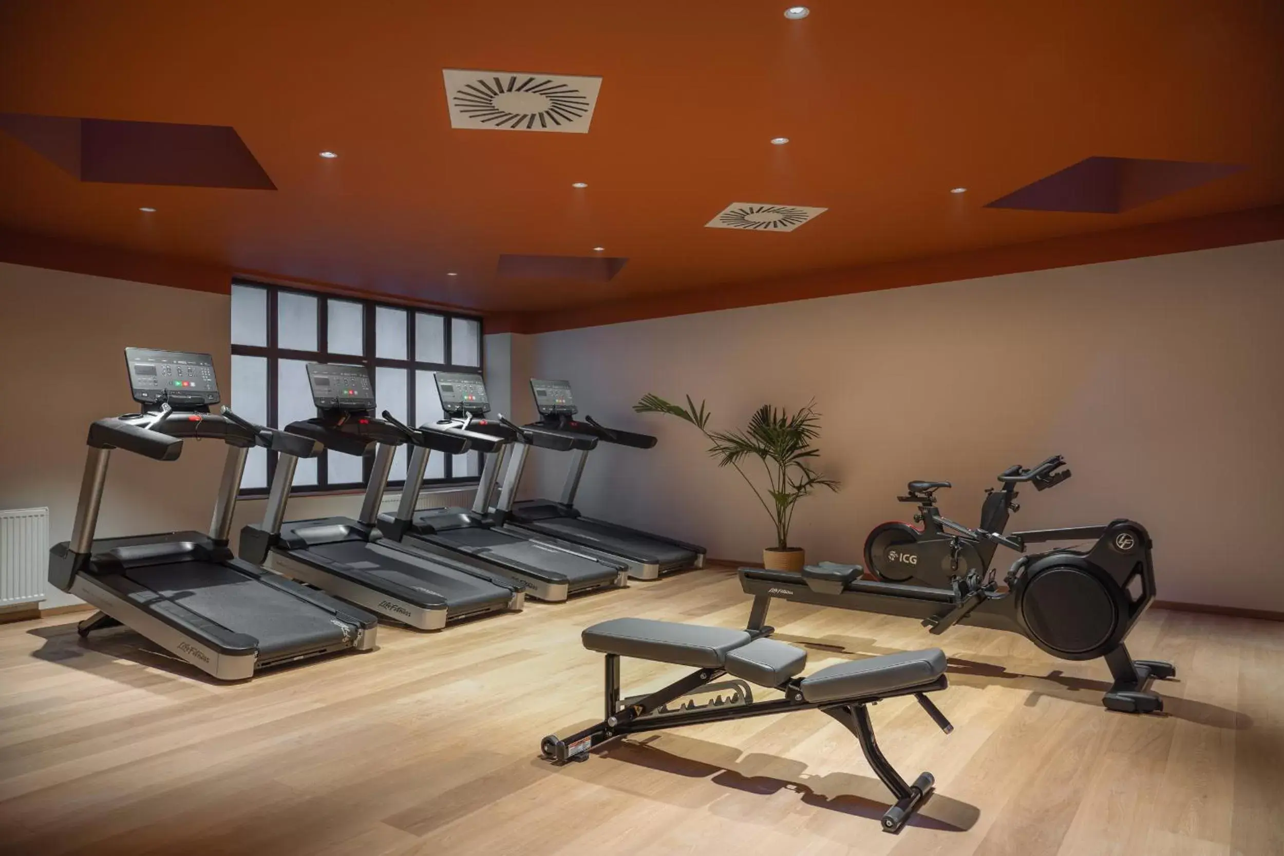 Fitness centre/facilities, Fitness Center/Facilities in Almanac X Alcron Prague