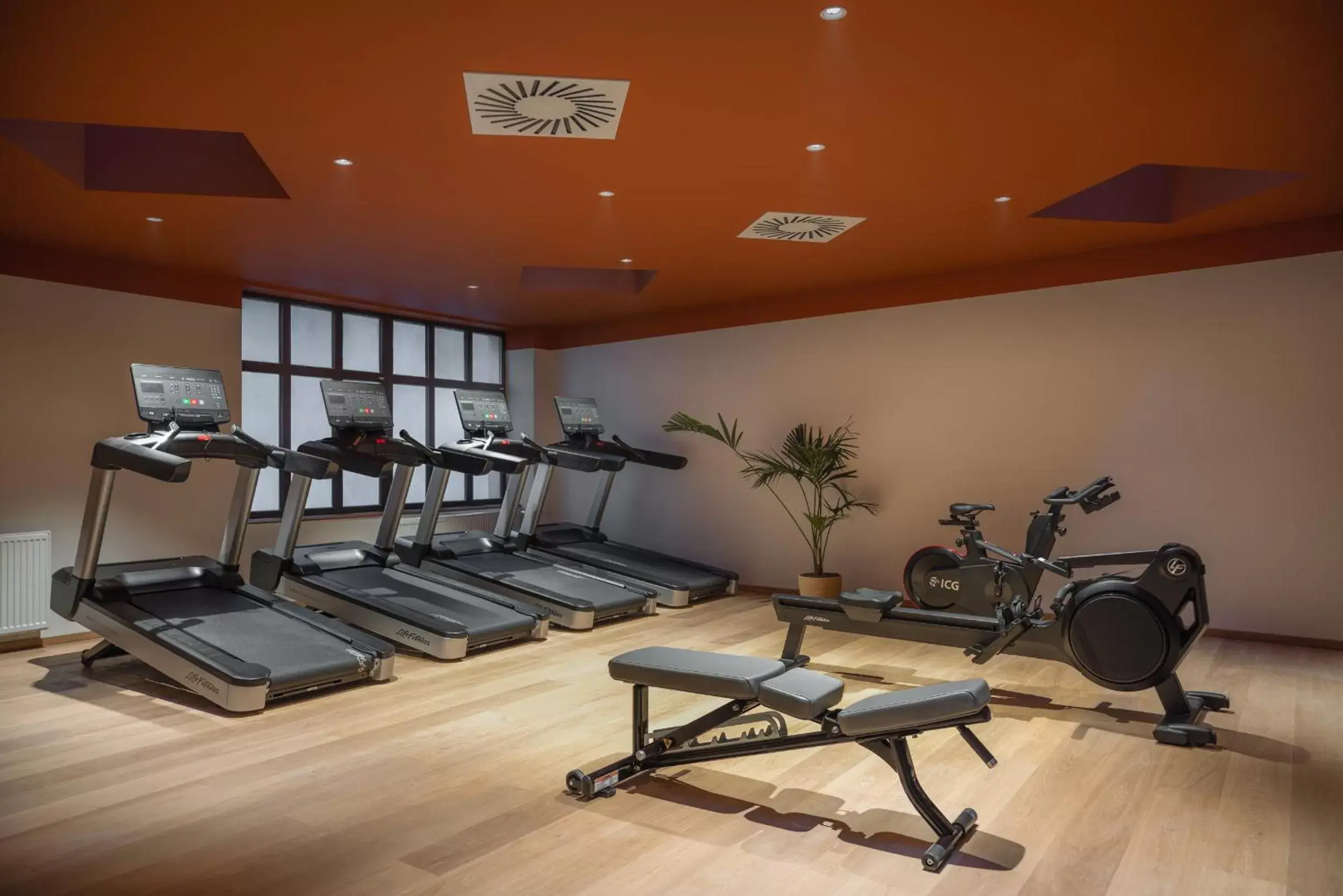 Fitness centre/facilities in Almanac X Alcron Prague Fitness centre/facilities in Almanac X Alcron Prague