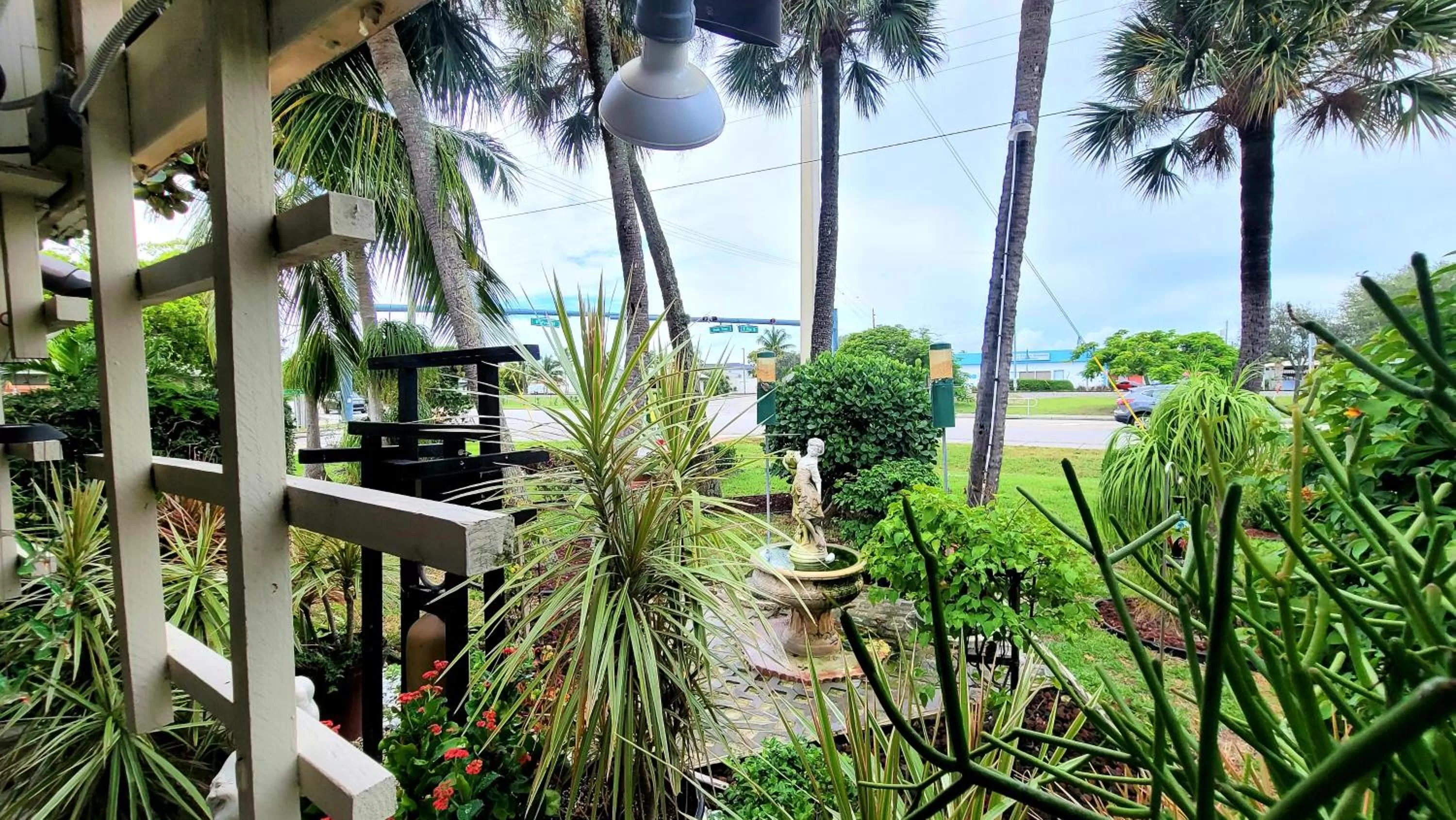Garden in Barefoot mailman motel