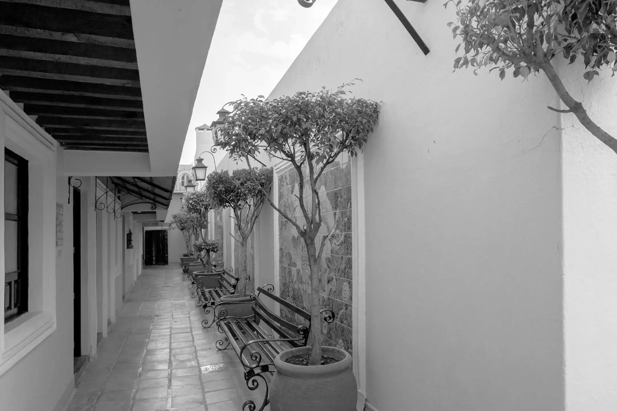 Patio in Hotel La Morada