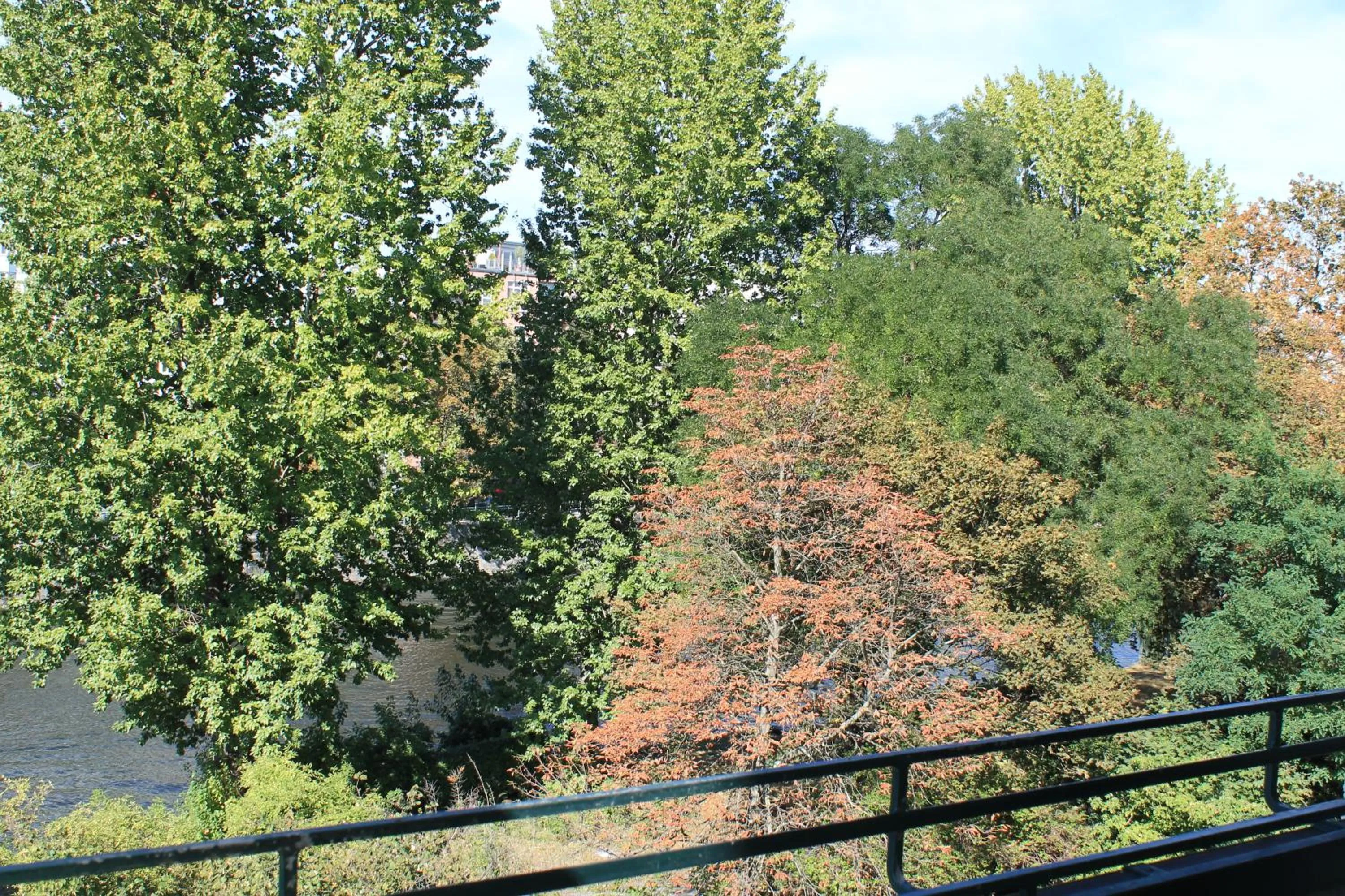 River view in Hotel Hansablick