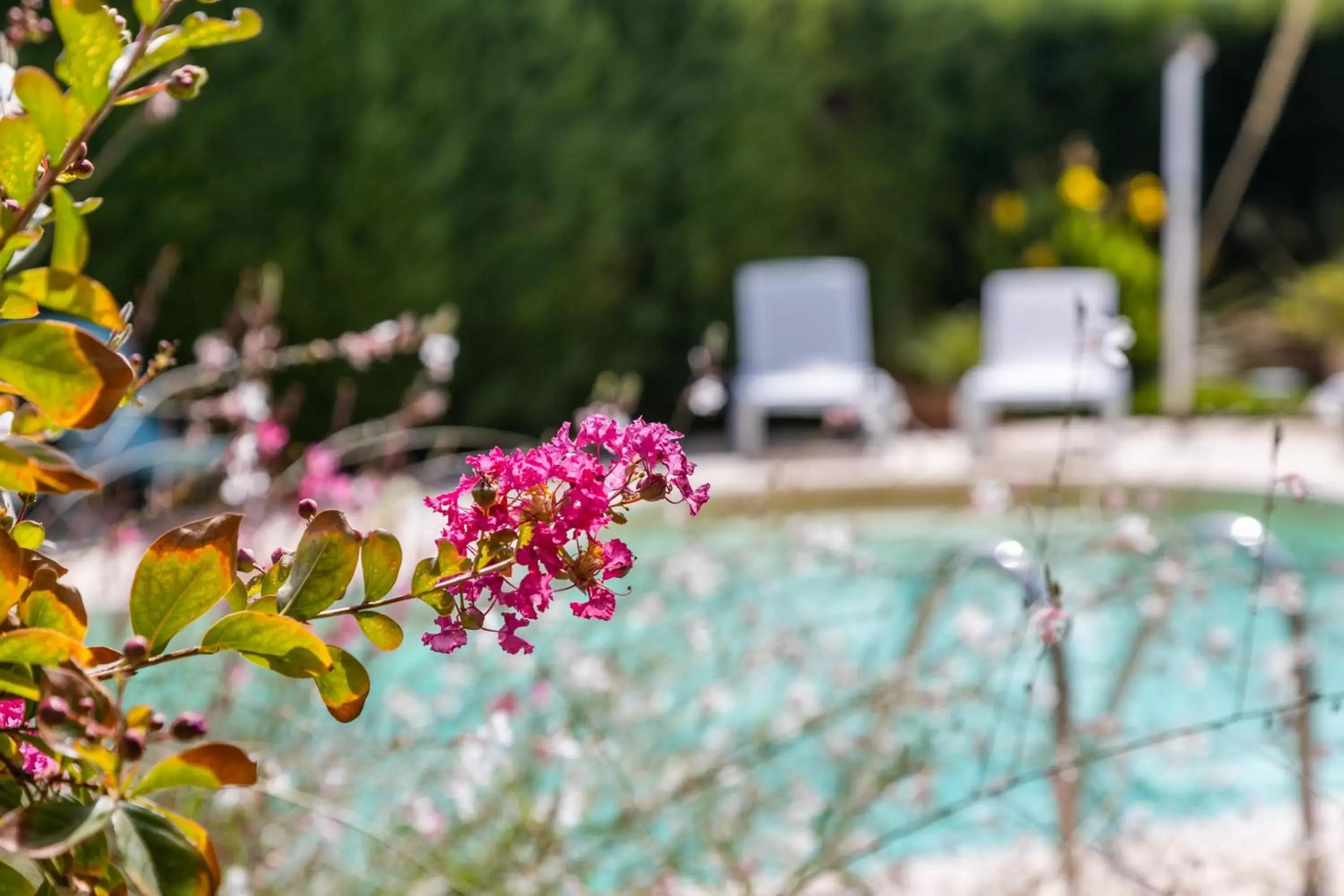 Swimming pool in La Collina di Montegrappa - Villa e Residence