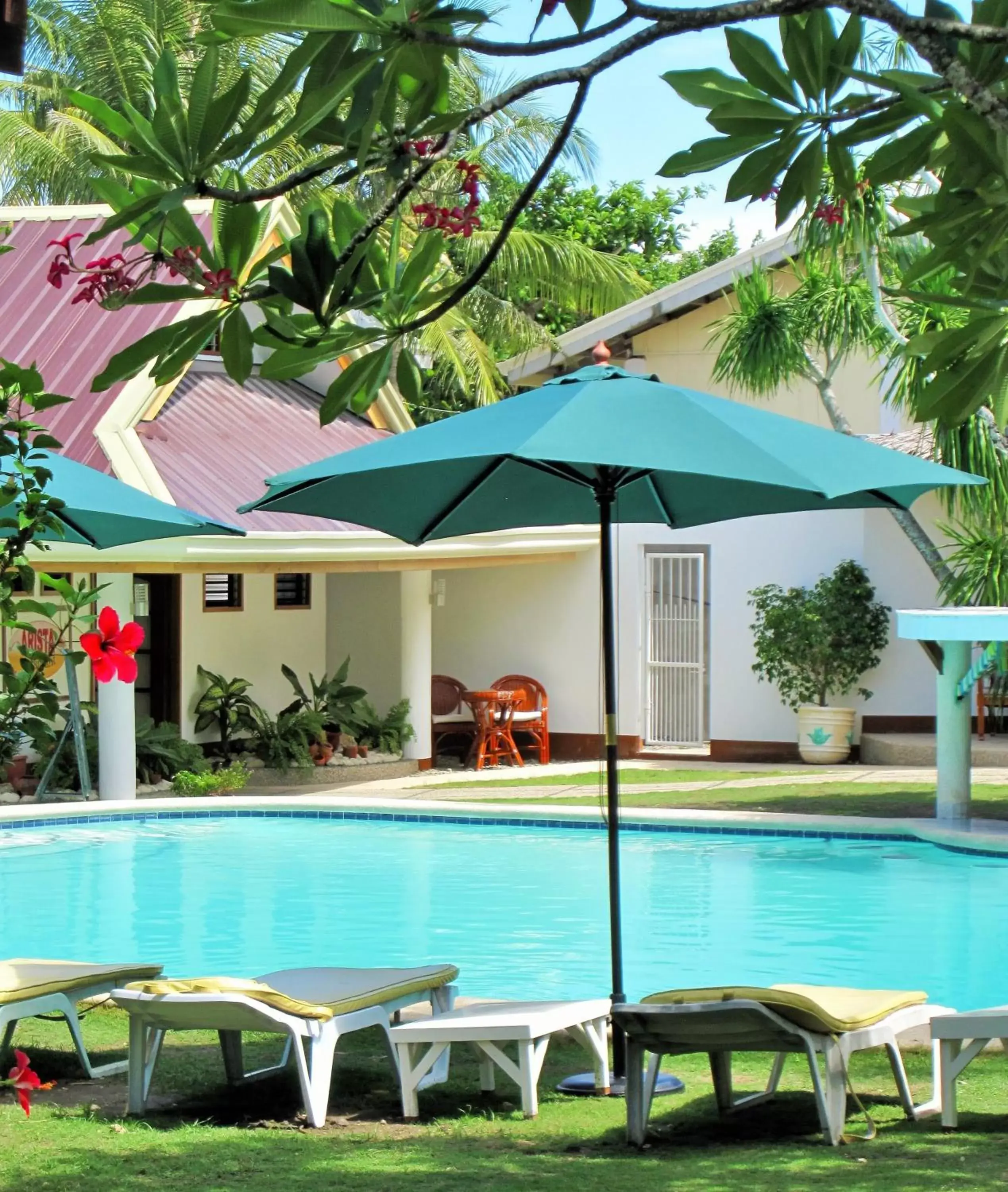 Day, Swimming Pool in Quo Vadis Dive Resort