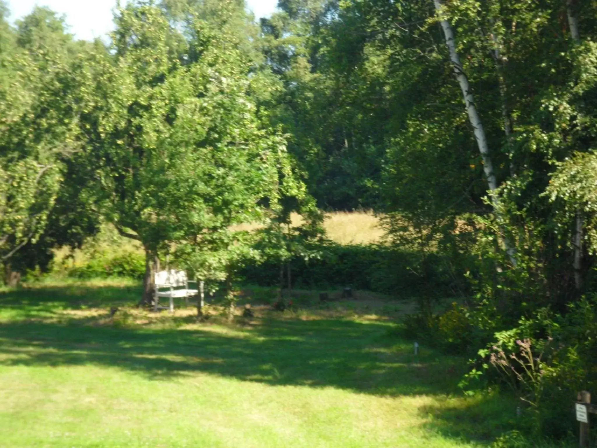 Garden in Buntes Moor