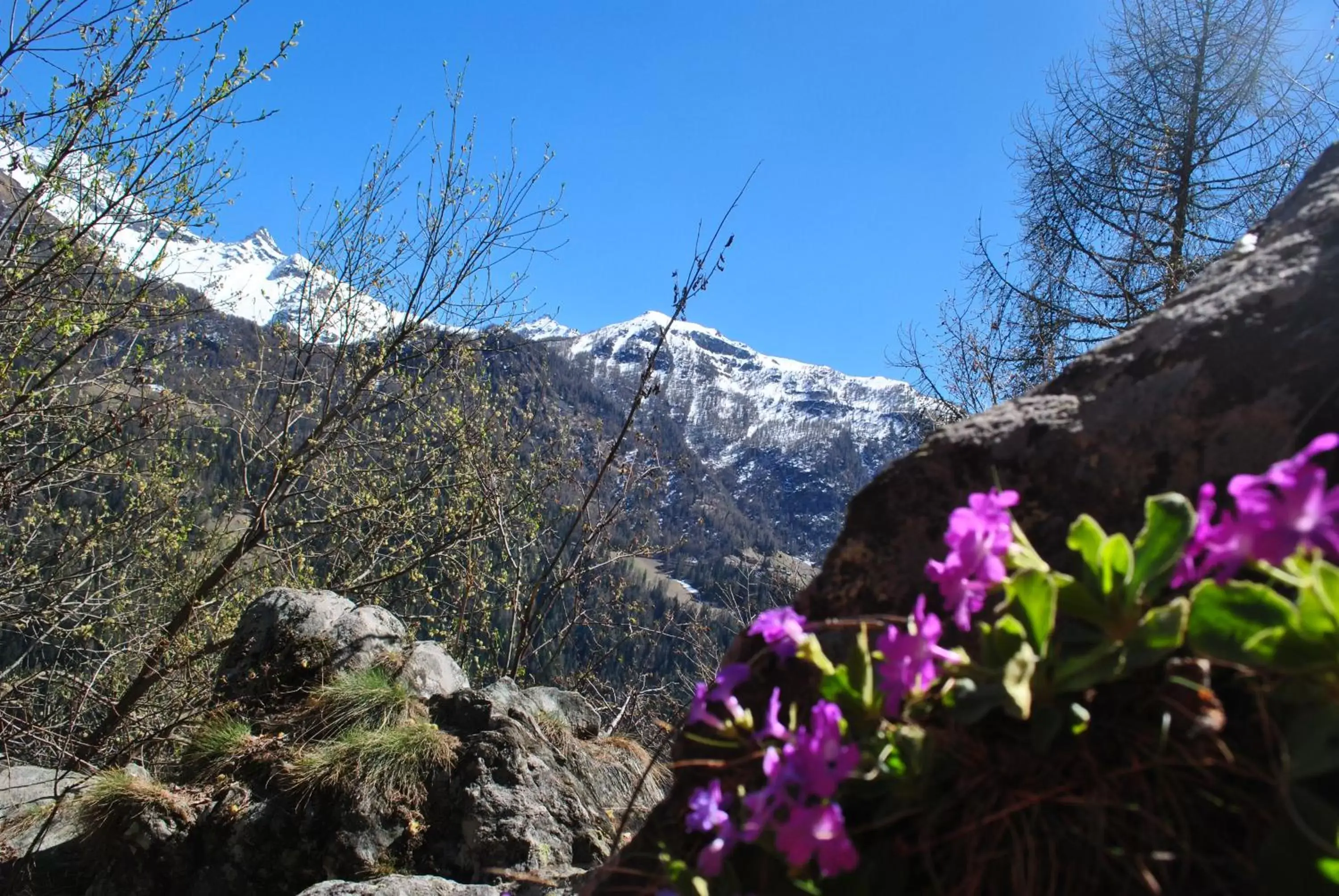 Natural landscape, Mountain View in Hotell Millefiori- Alpine Event Lodge