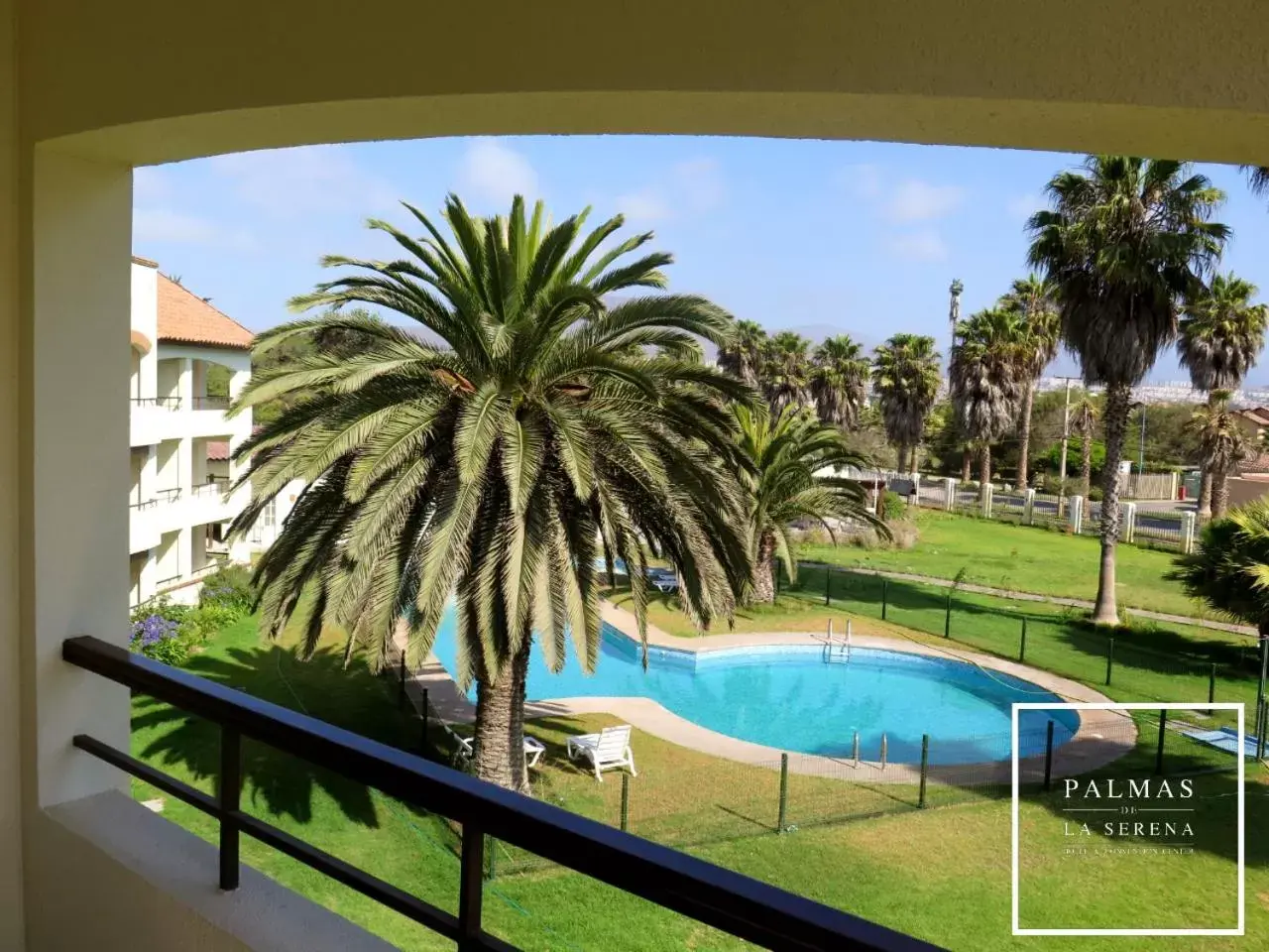 Pool View in Hotel Palmas de La Serena