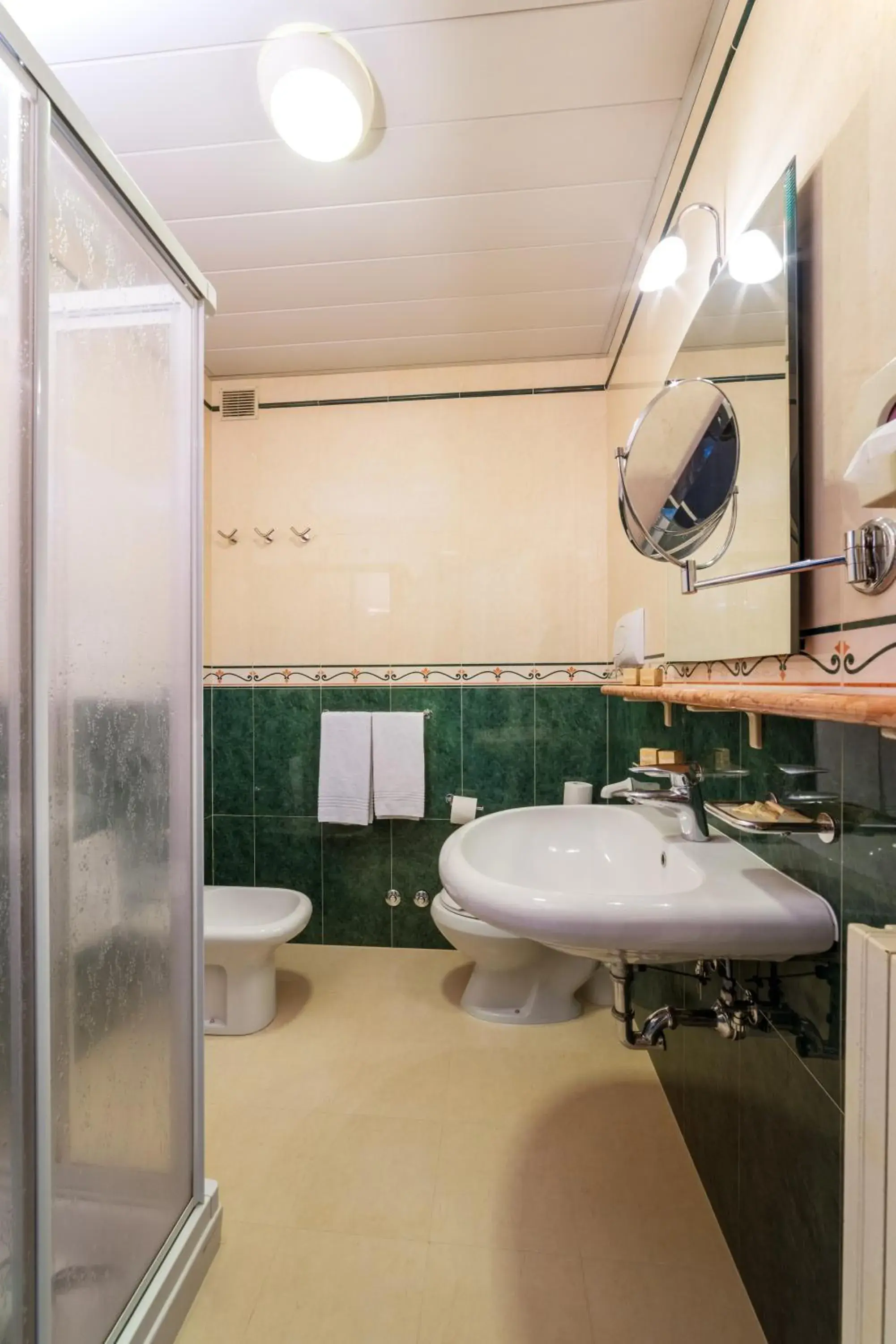 Shower, Bathroom in Apollo Terme Hotel