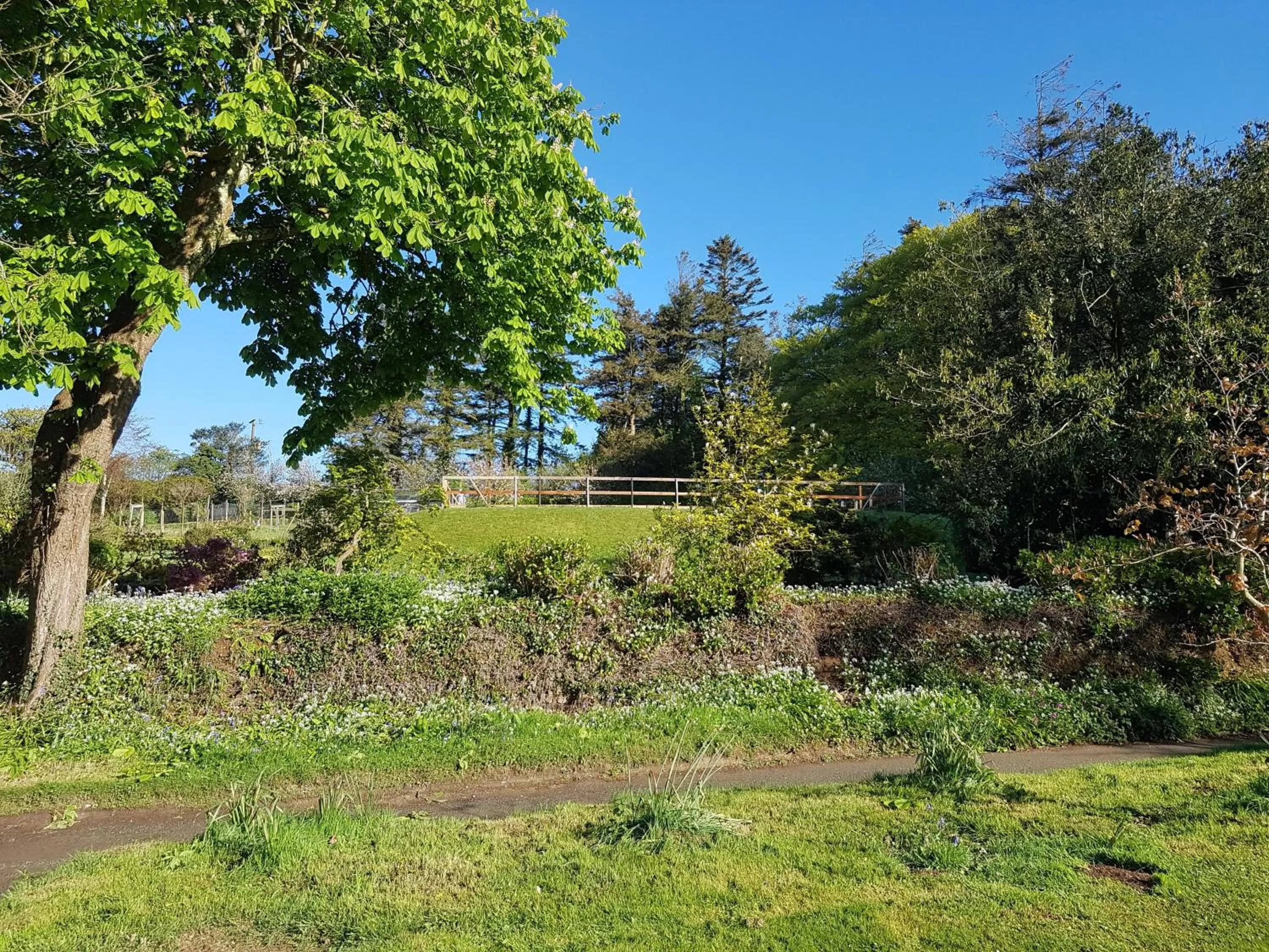 Property building in Great Trethew Hotel - Self Catering Lodges - Bar & Restaurant