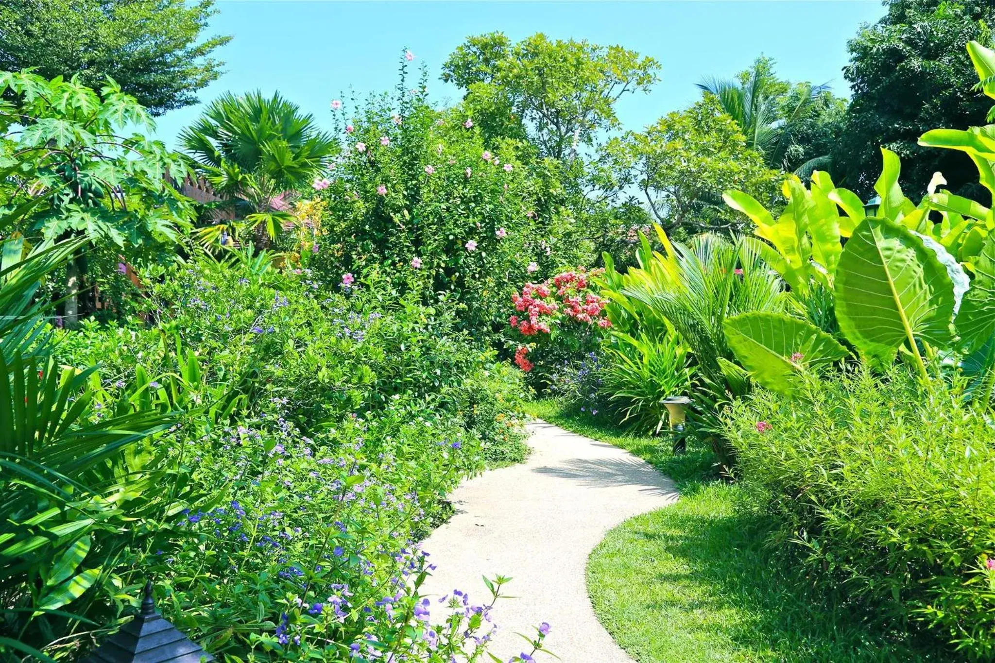 Garden in Oriental Siam Resort