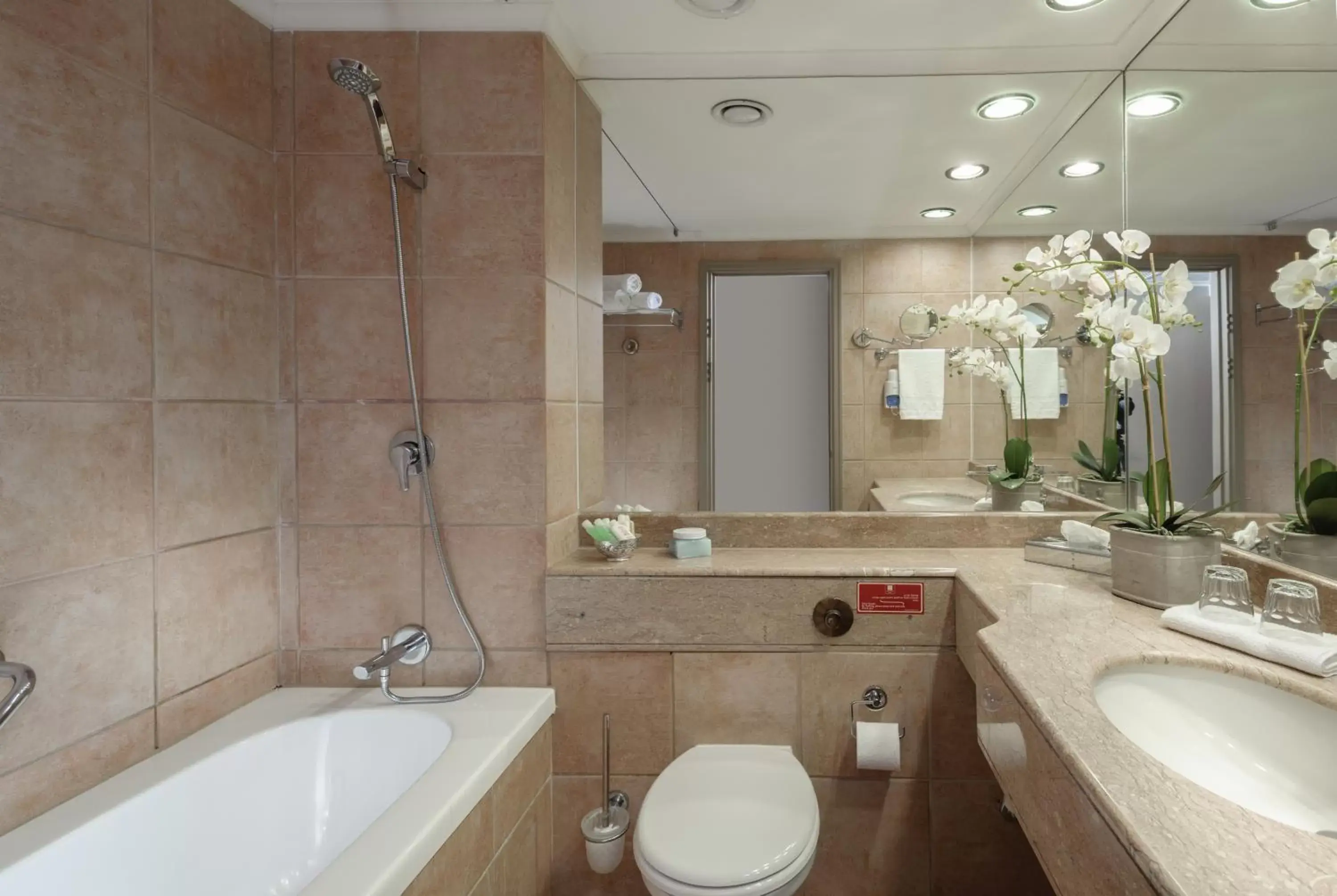 Toilet, Bathroom in Leonardo Hotel Negev