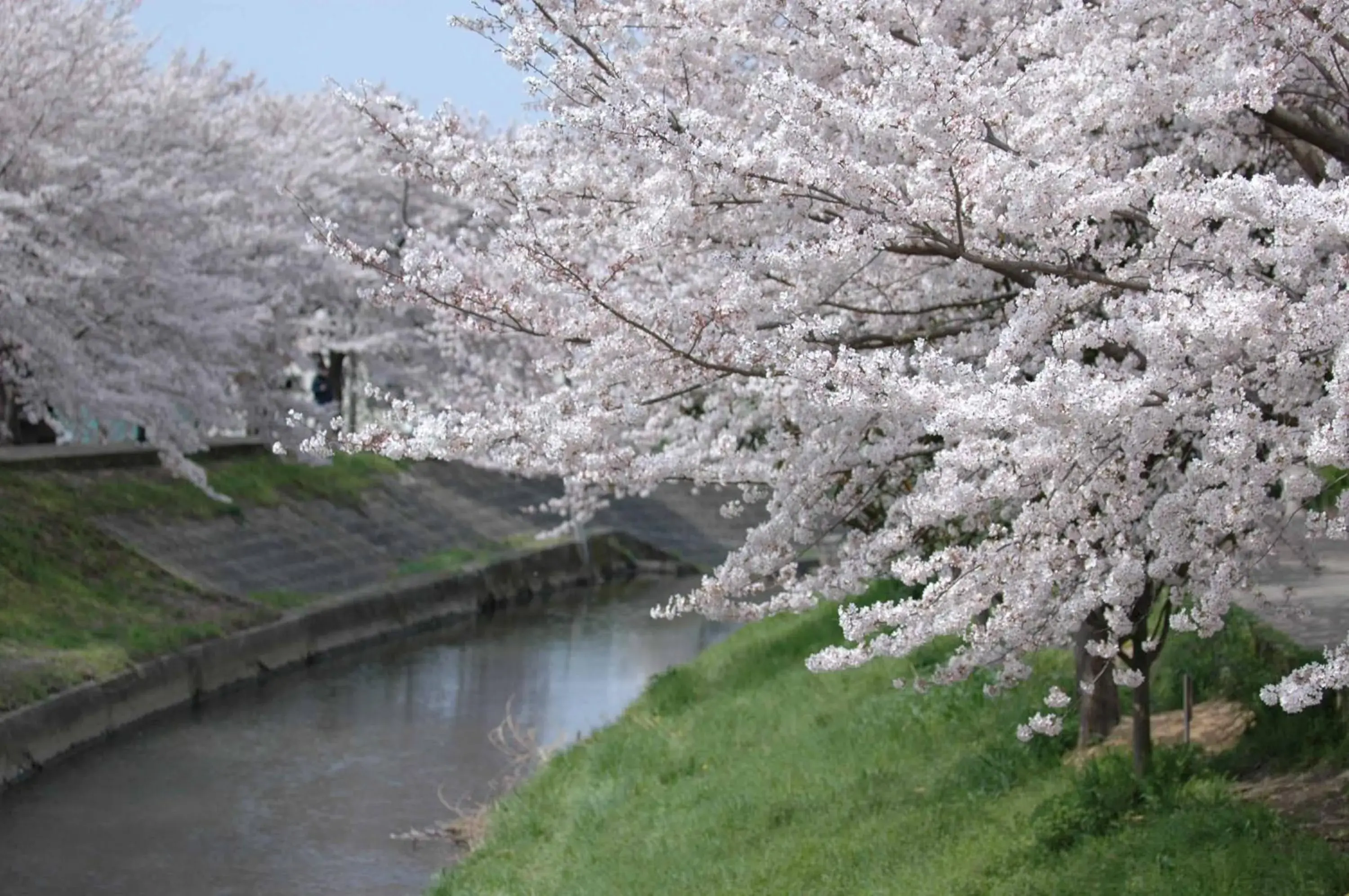 Natural landscape in Nara Royal Hotel