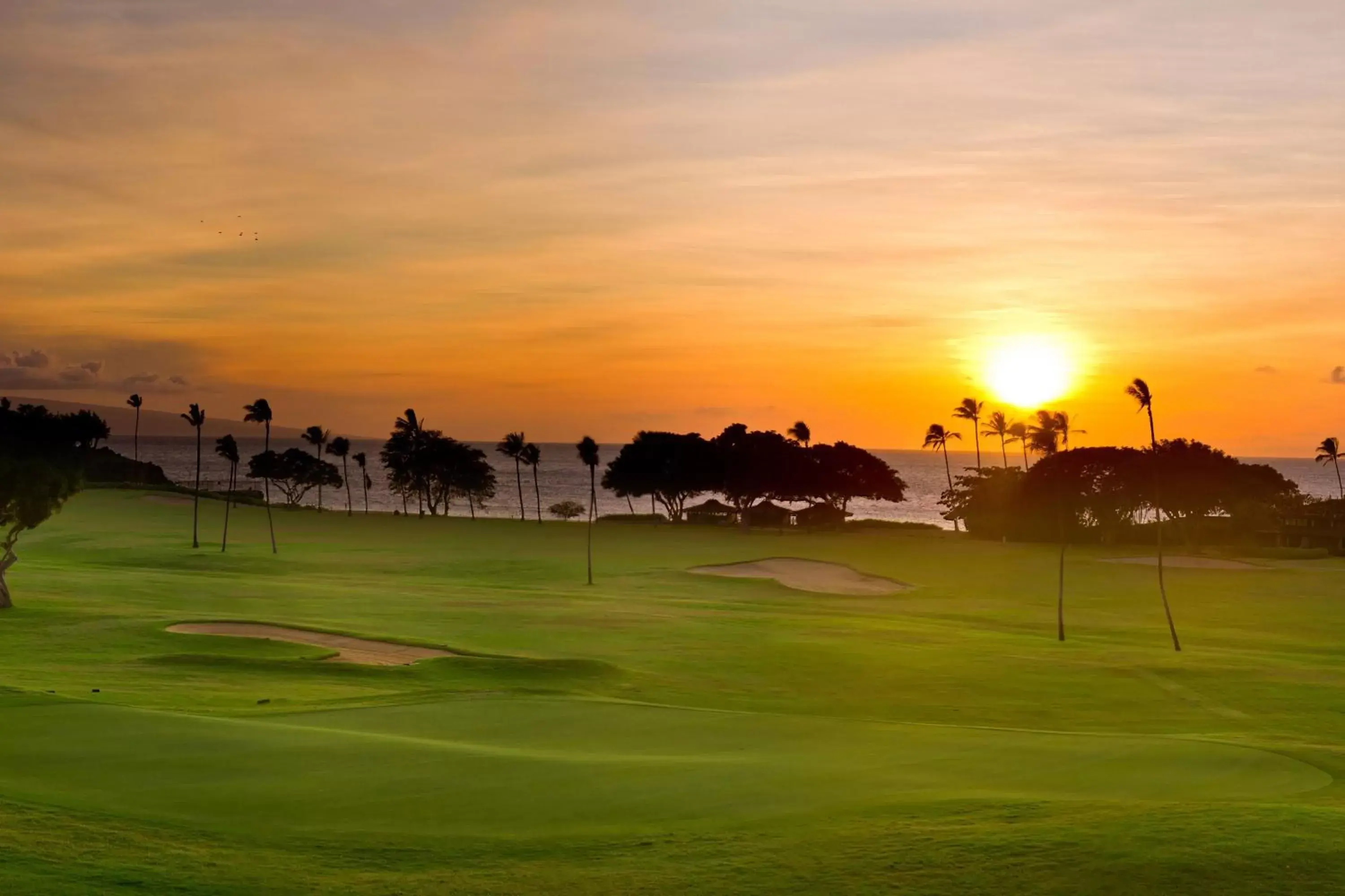 Golfcourse in The Westin Maui Resort & Spa, Ka'anapali