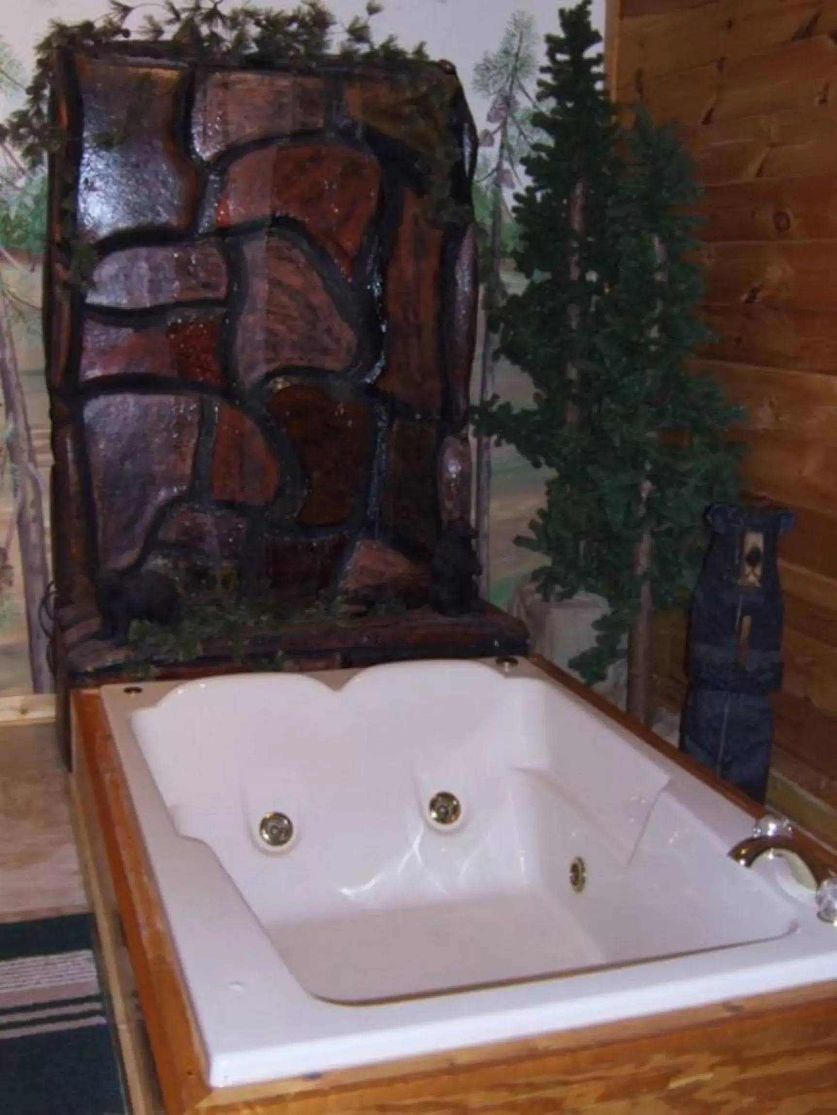 Hot Tub in Black Forest Bed & Breakfast