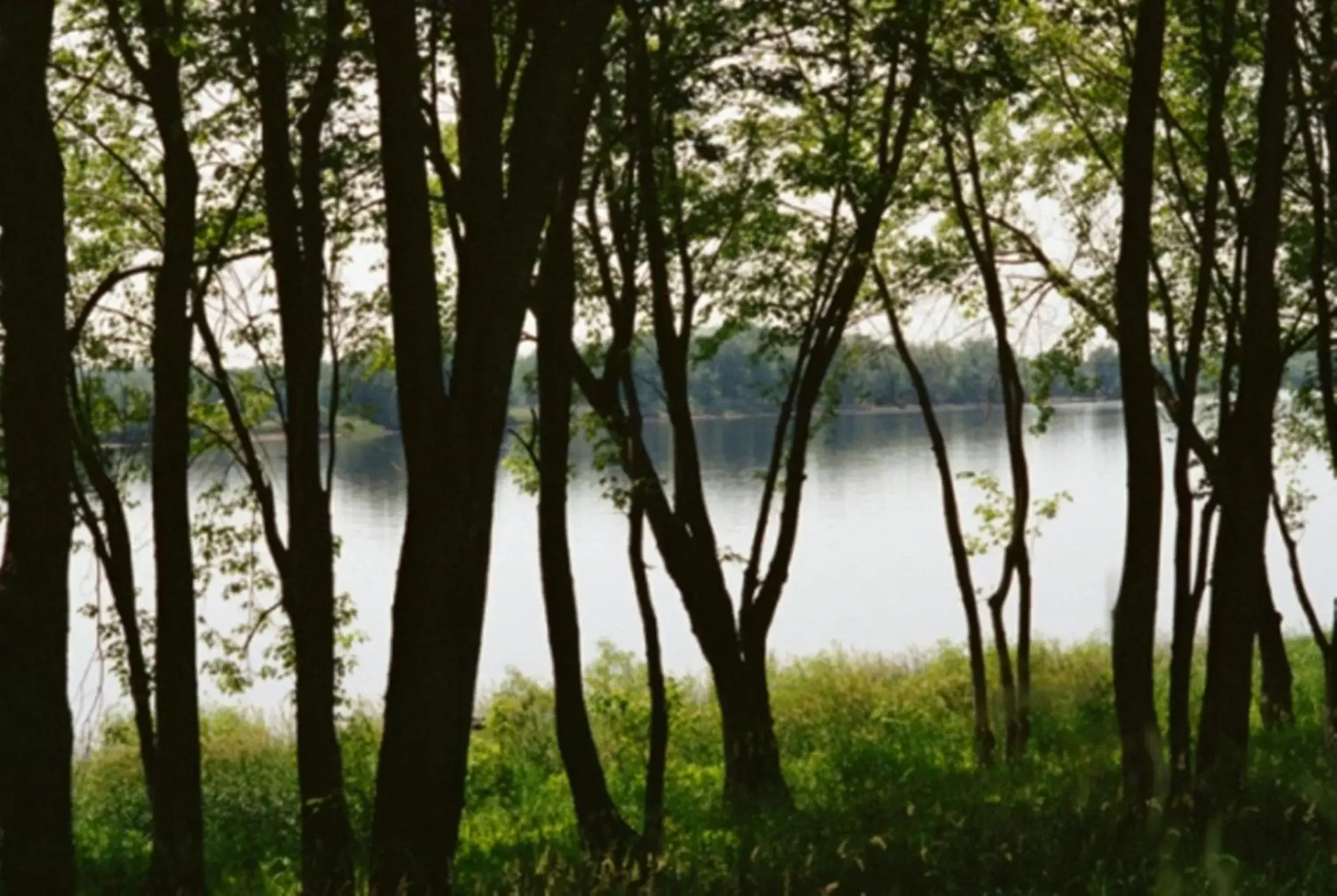 Lake view in The Barnsdale