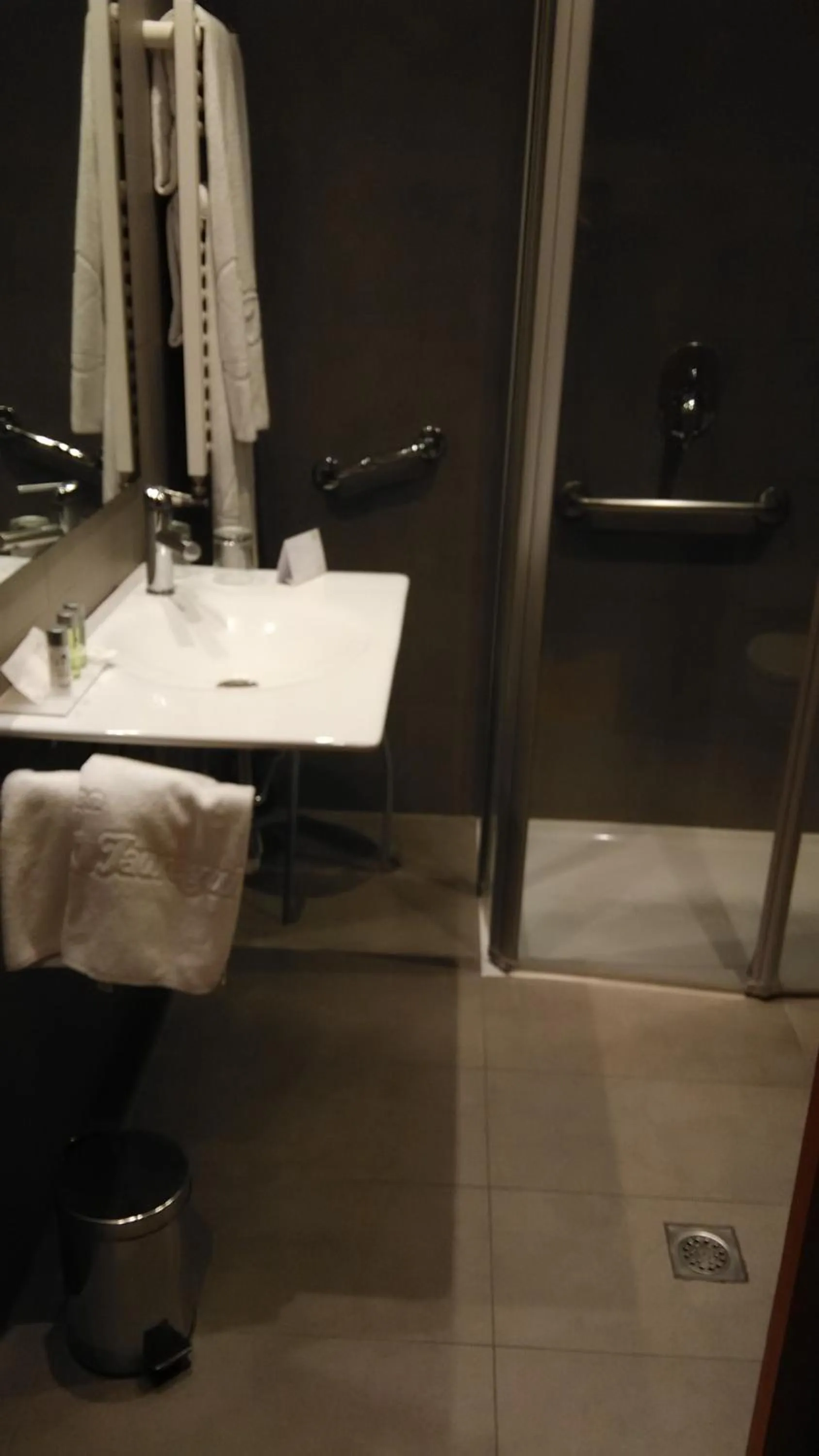 Bathroom in Hotel Jauregui