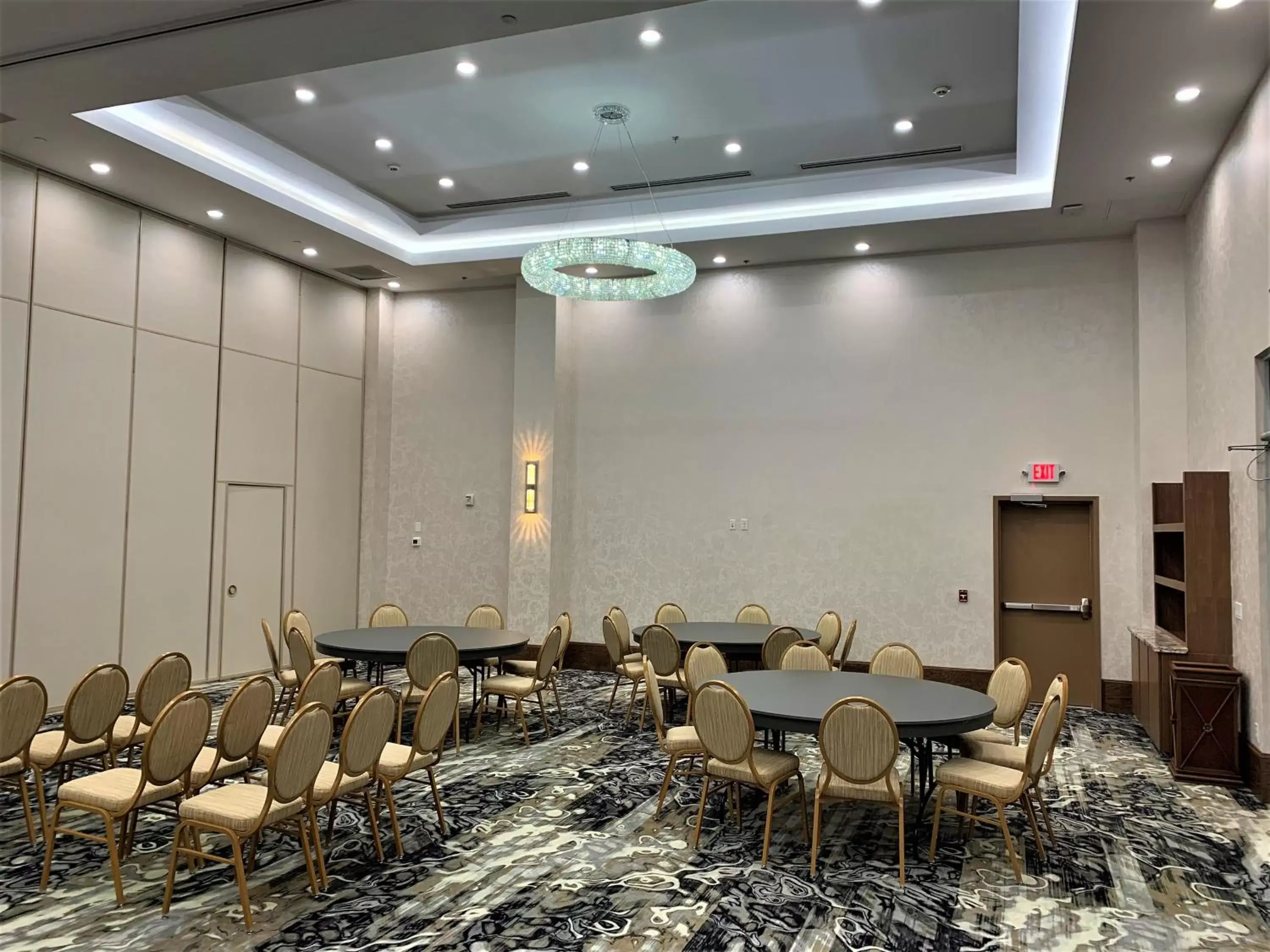 Meeting/conference room in Tru By Hilton Katy Houston West, Tx