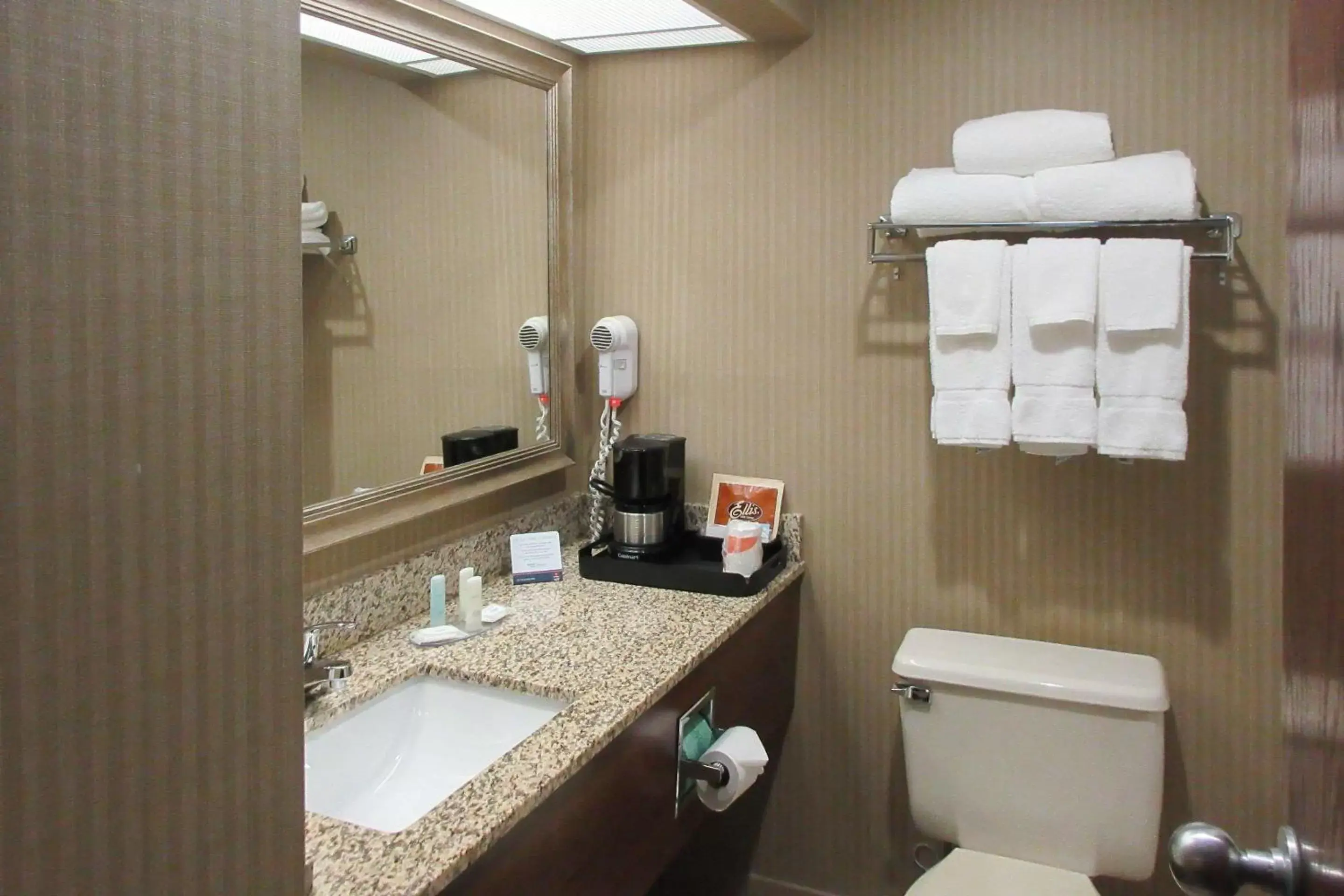 Bathroom in Clarion Inn & Suites - University Area