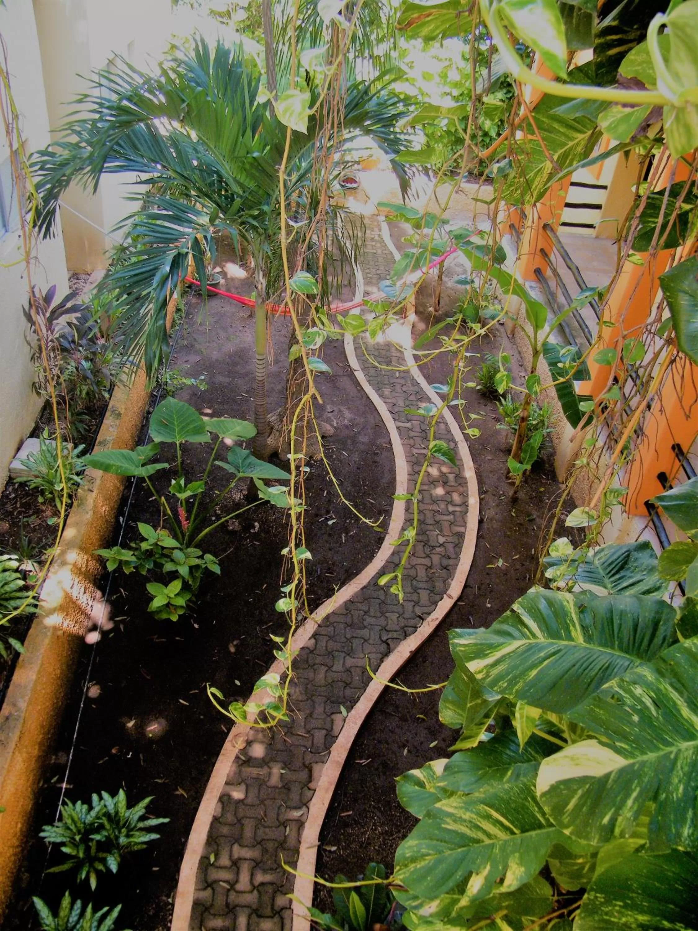 Garden view in Hotel LunaSol