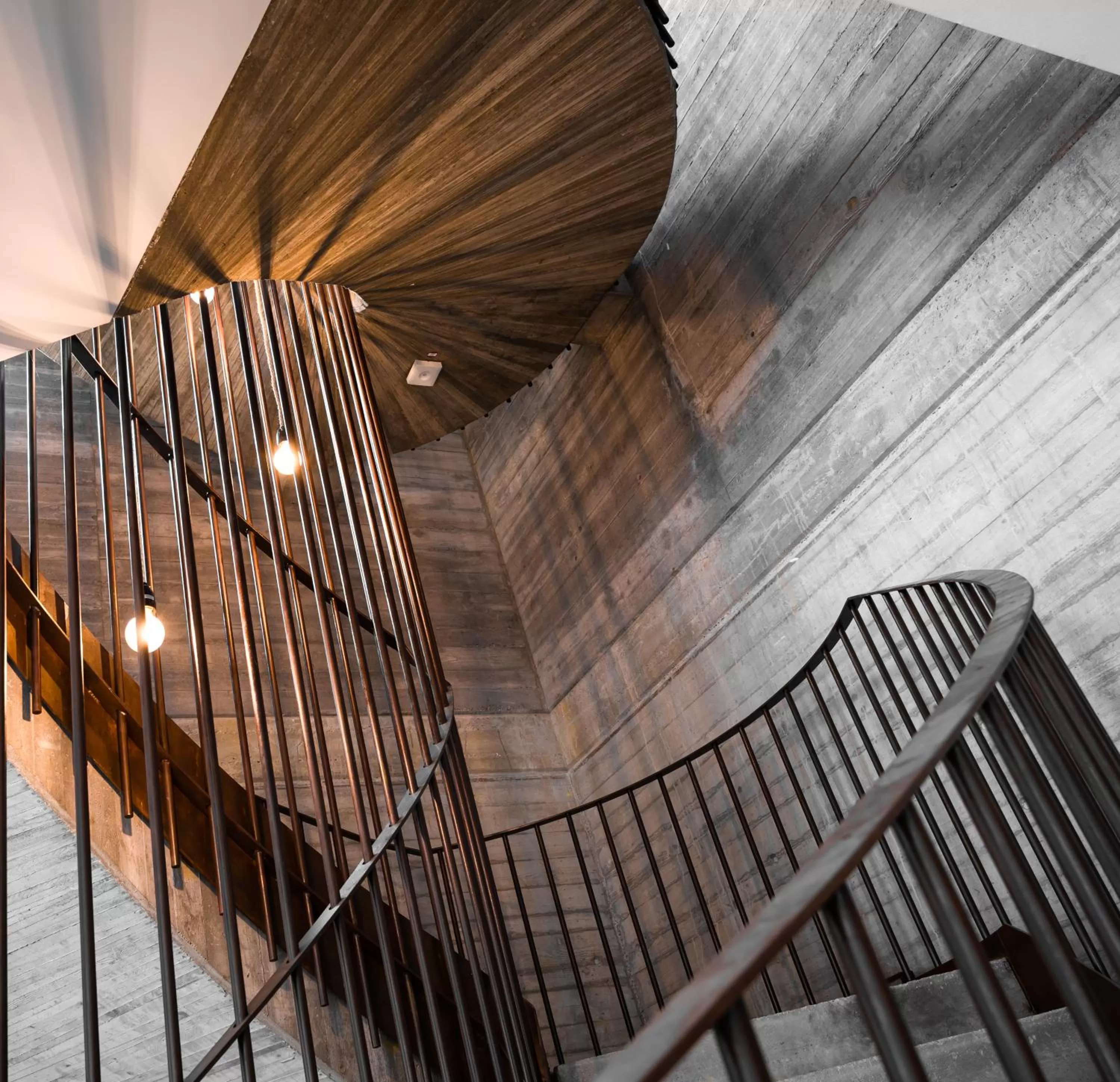 Decorative detail in Cavallestro Deluxe