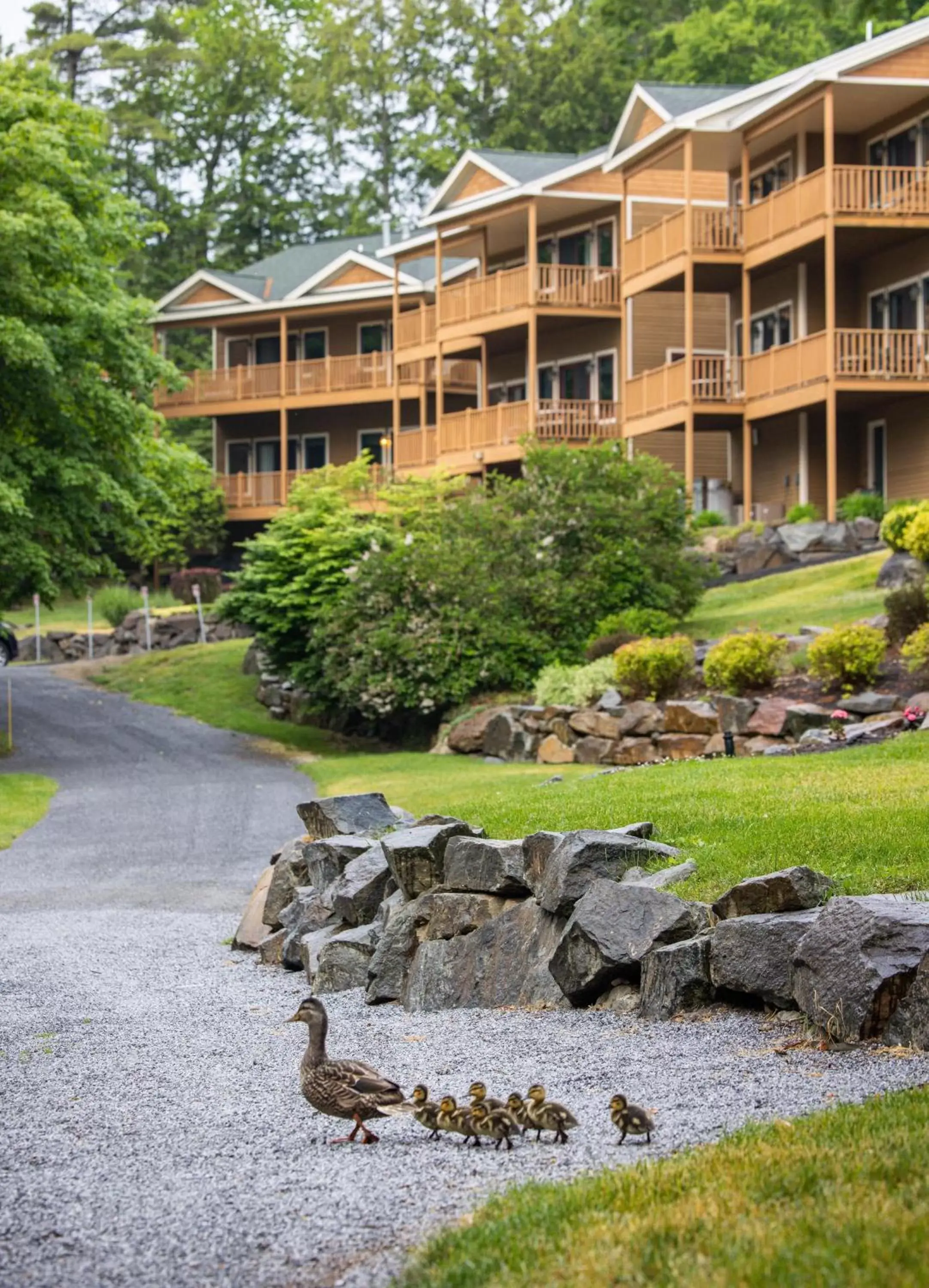 Natural landscape in Sun Castle Resort