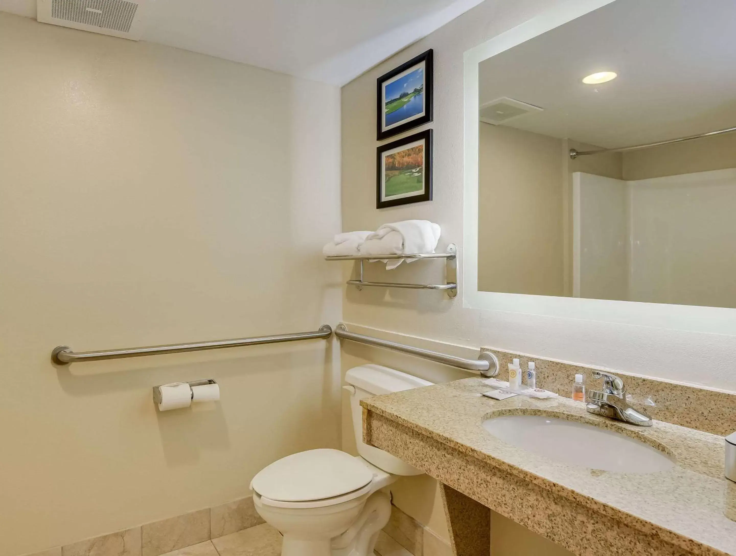 Bathroom in Comfort Inn & Suites Gordon HWY