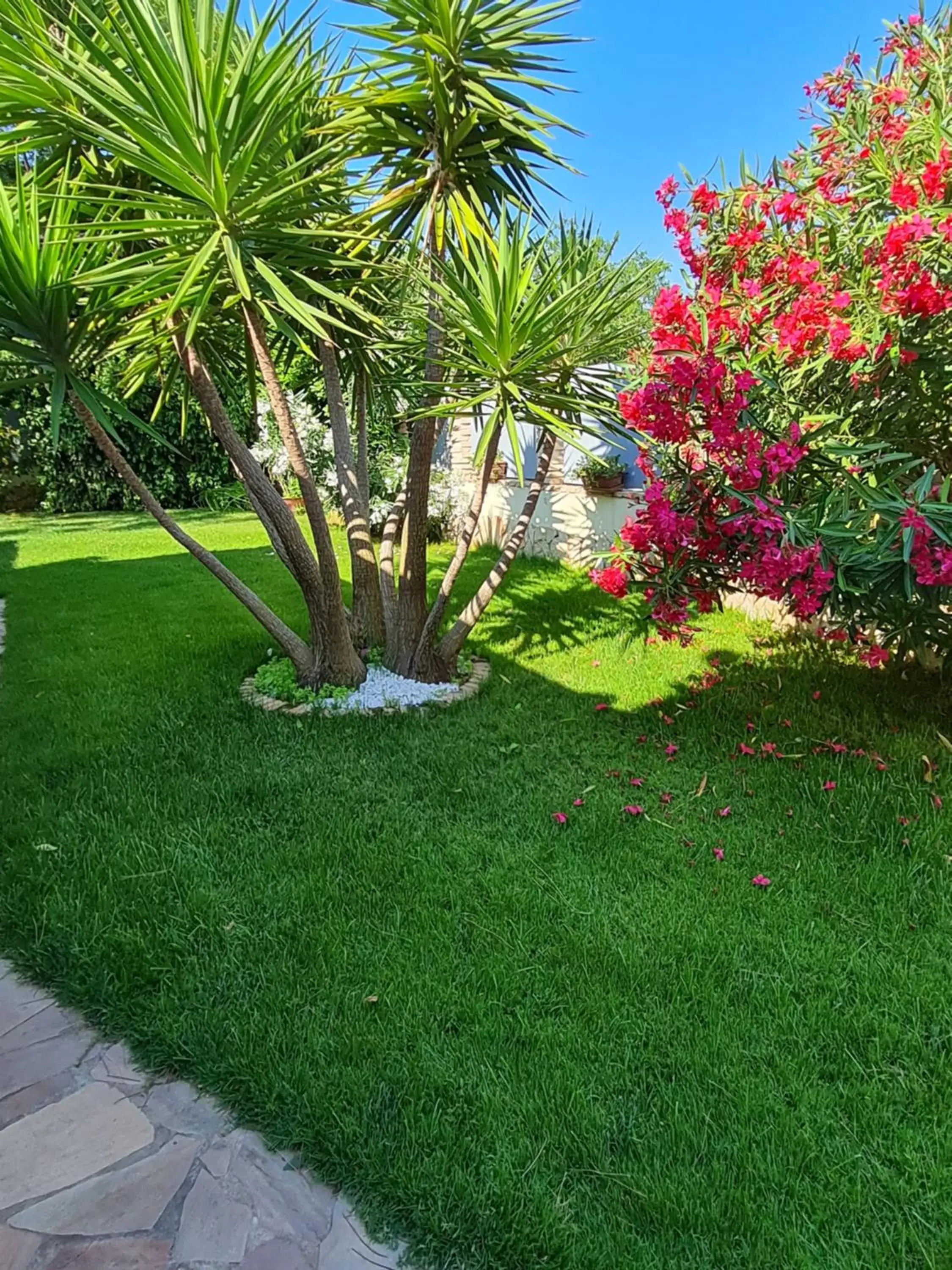 Garden in Gentarrubia