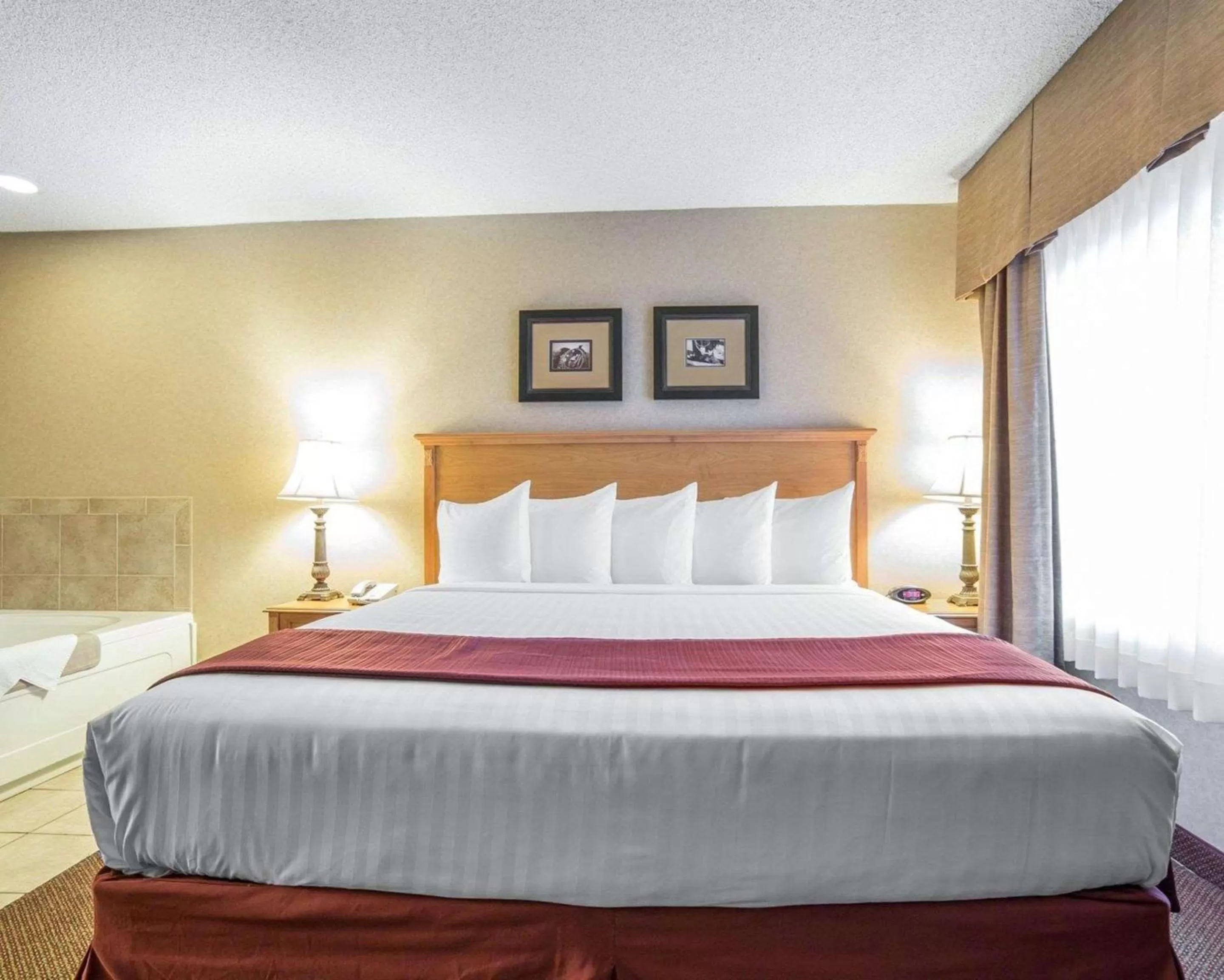 Photo of the whole room, Bed in Quality Inn & Suites Casper near Event Center