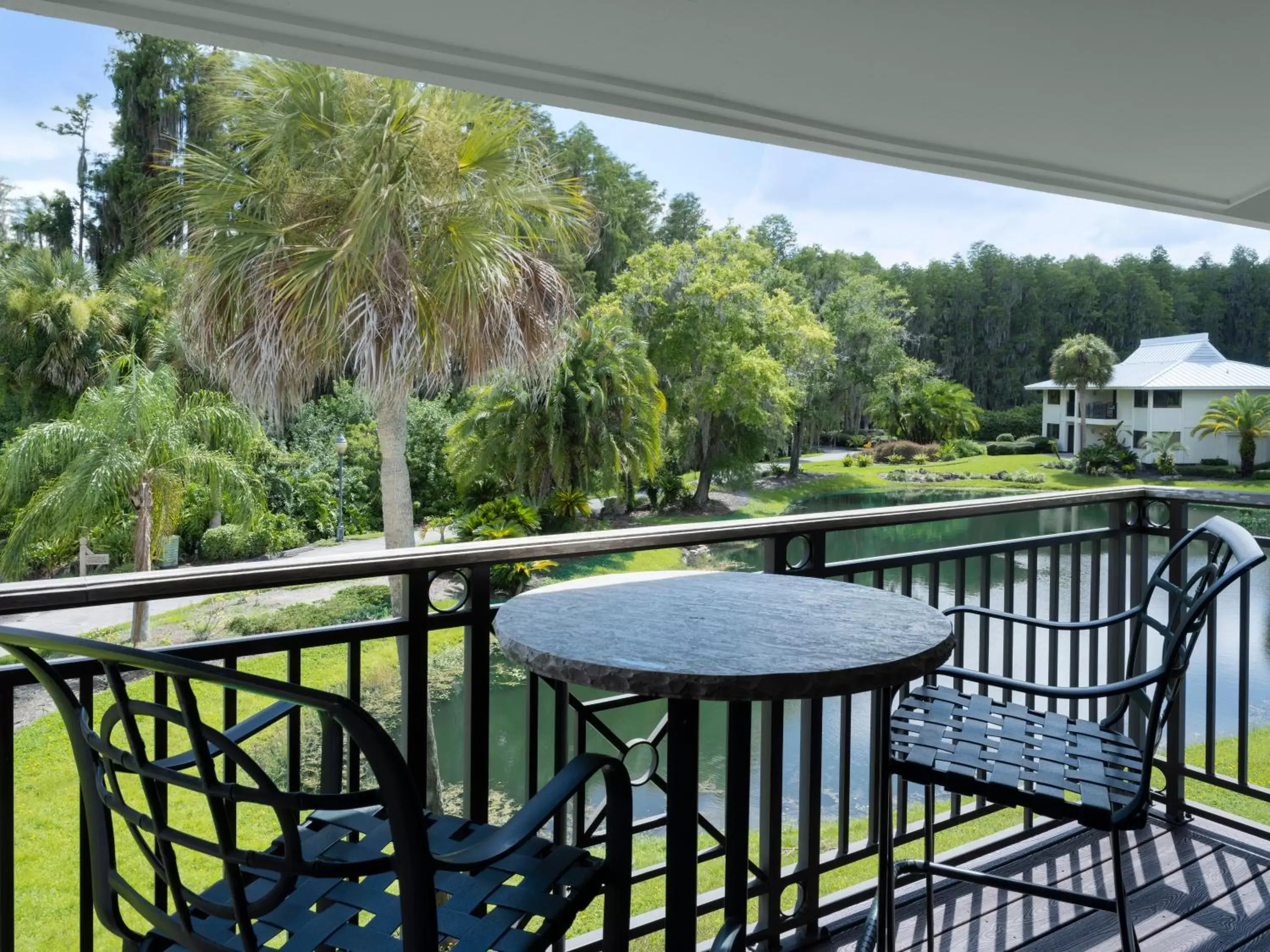 Patio, Balcony/Terrace in Saddlebrook Golf Resort & Spa Tampa North-Wesley Chapel