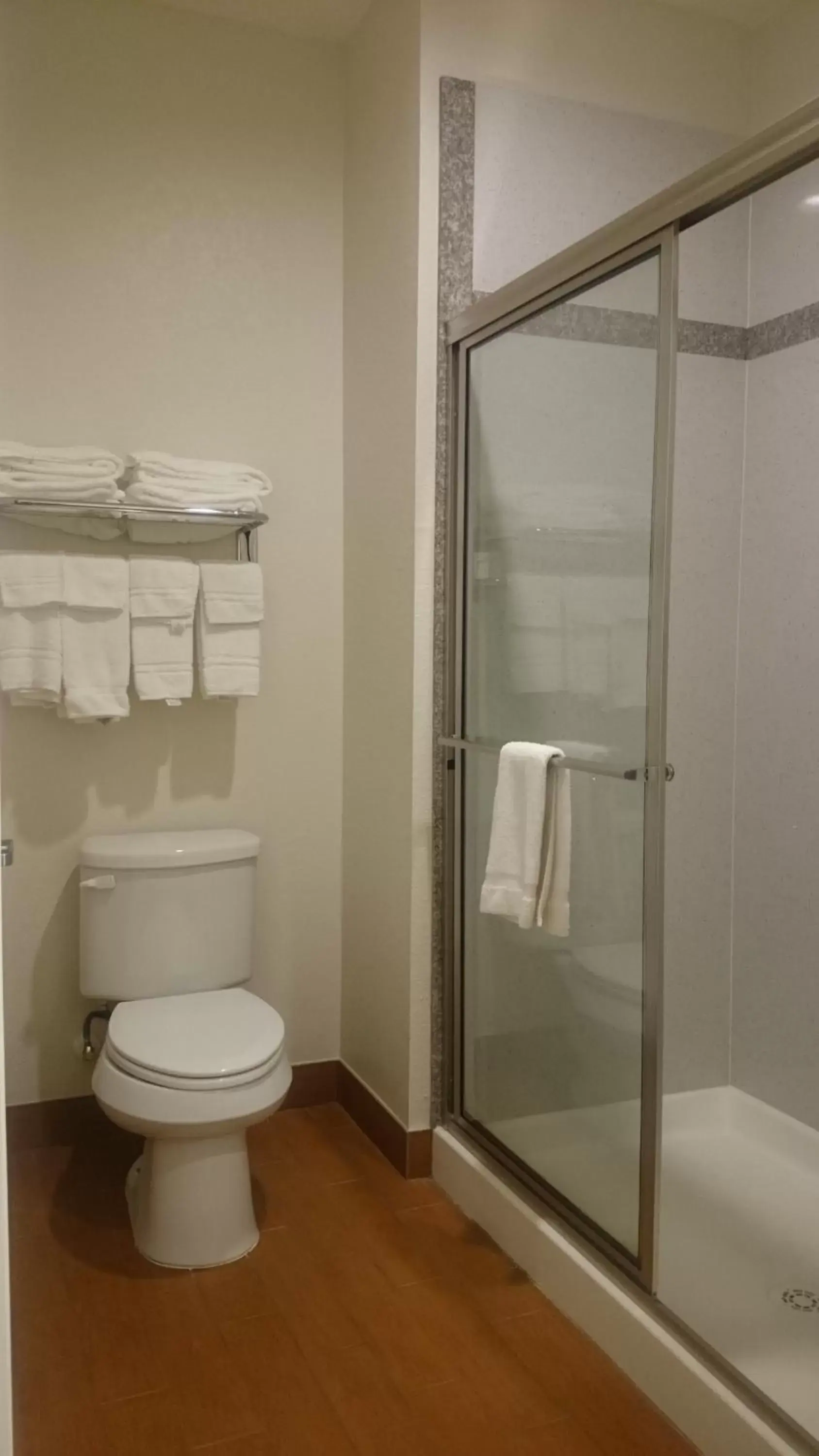Toilet, Bathroom in Regency Inn & Suites- NW Houston