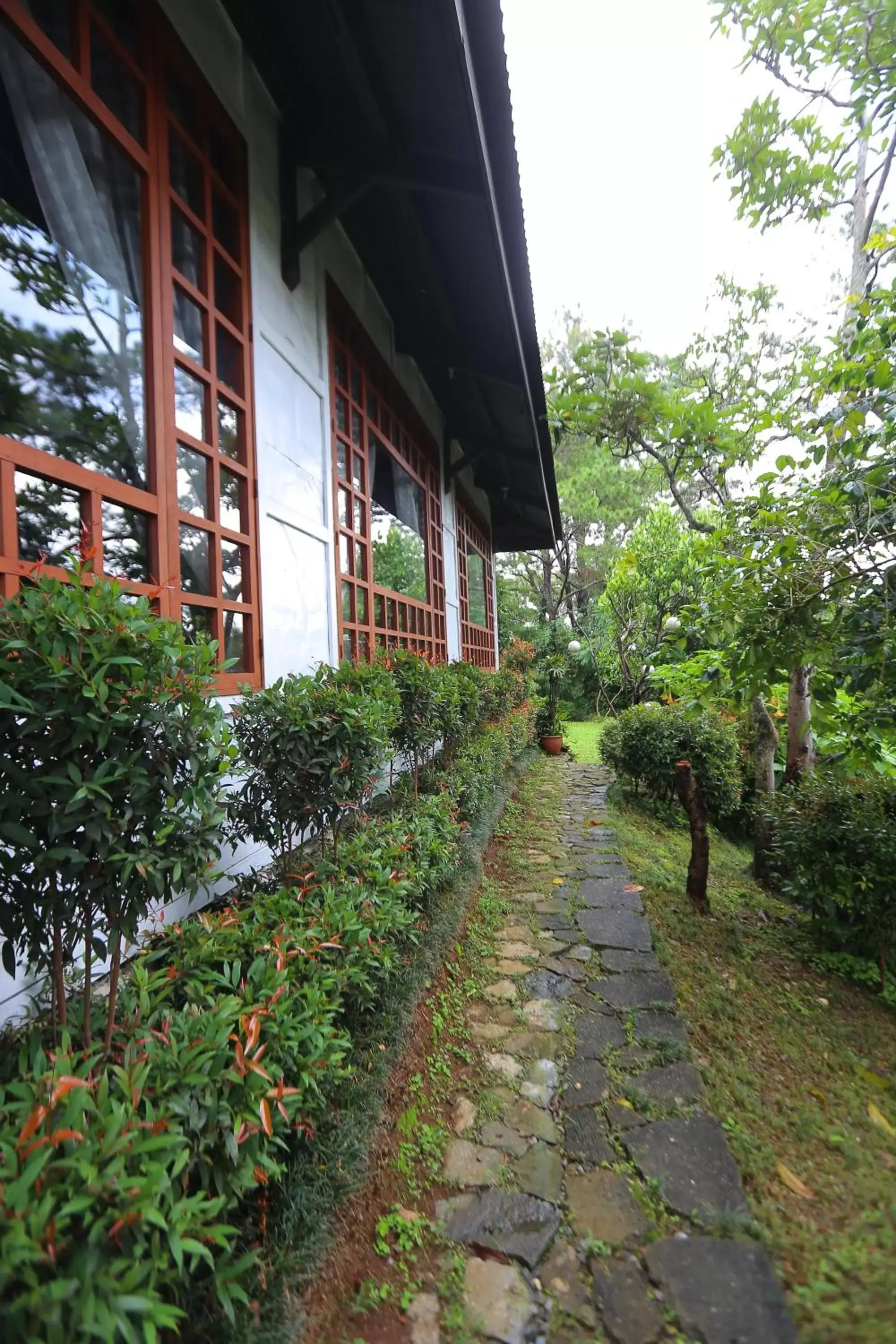 Garden, Patio/Outdoor Area in Casa Vallejo Hotel Baguio
