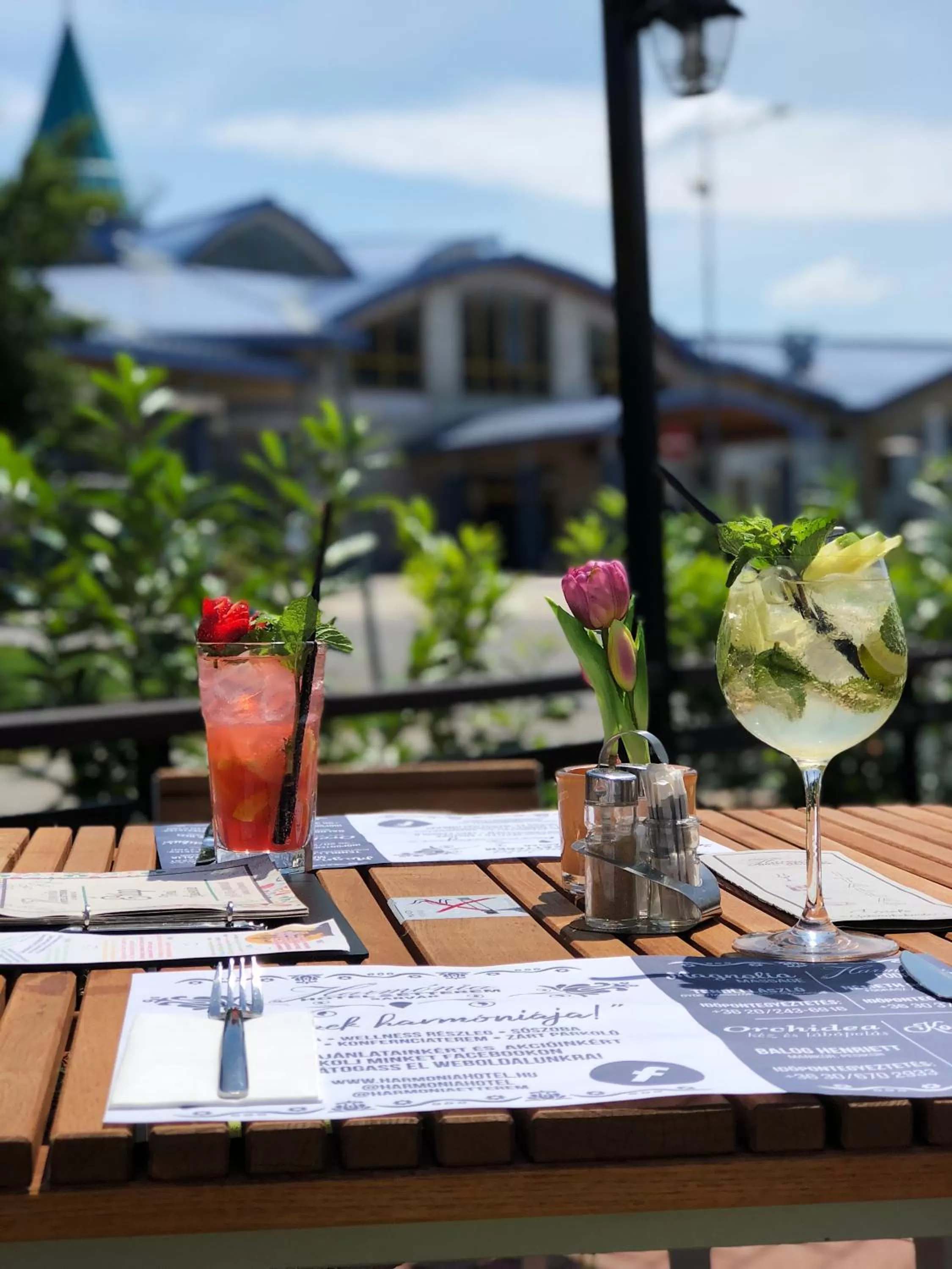 Restaurant/places to eat in Harmónia Hotel Sárvár