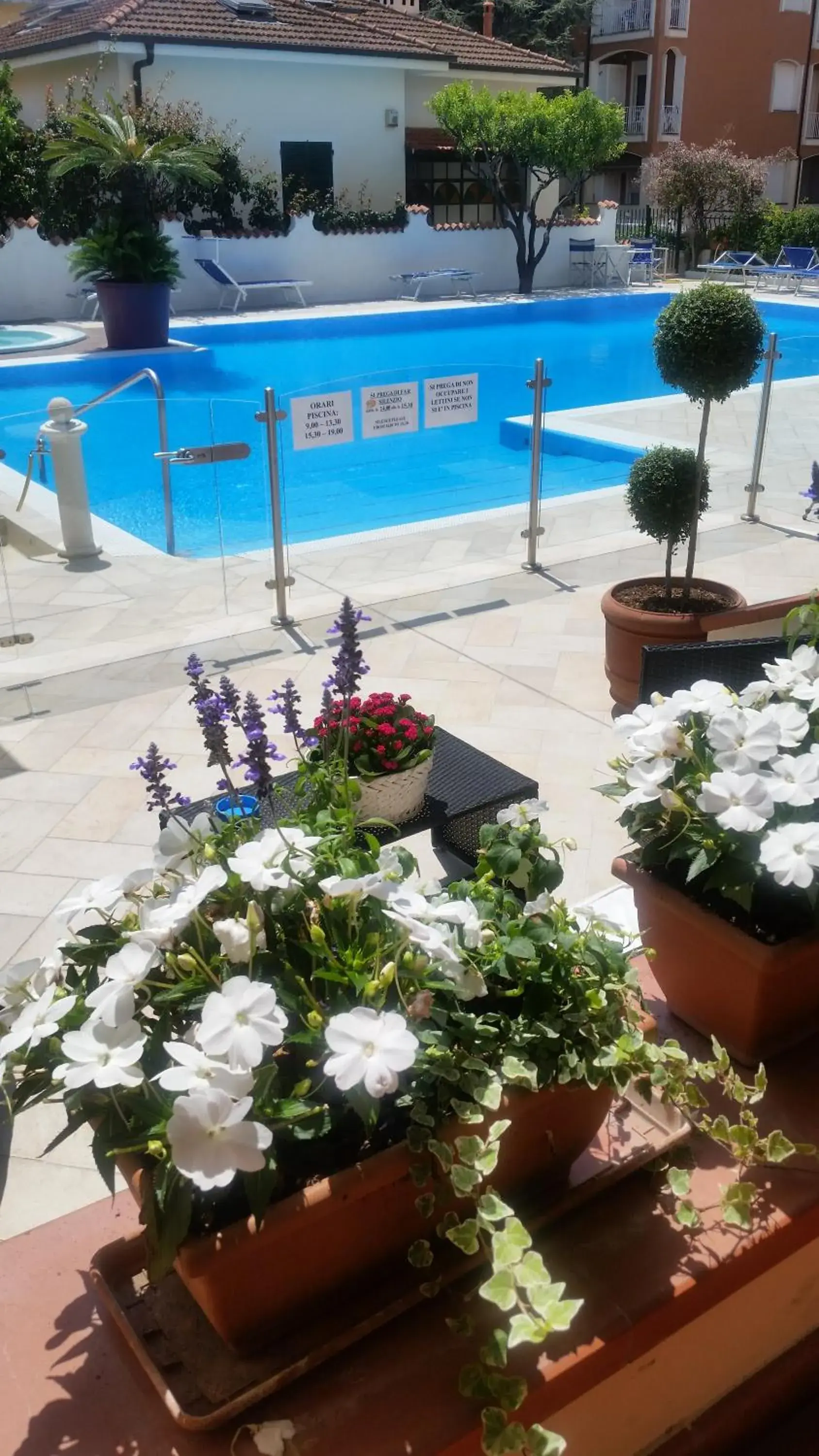 Patio, Swimming Pool in Hotel Splendid