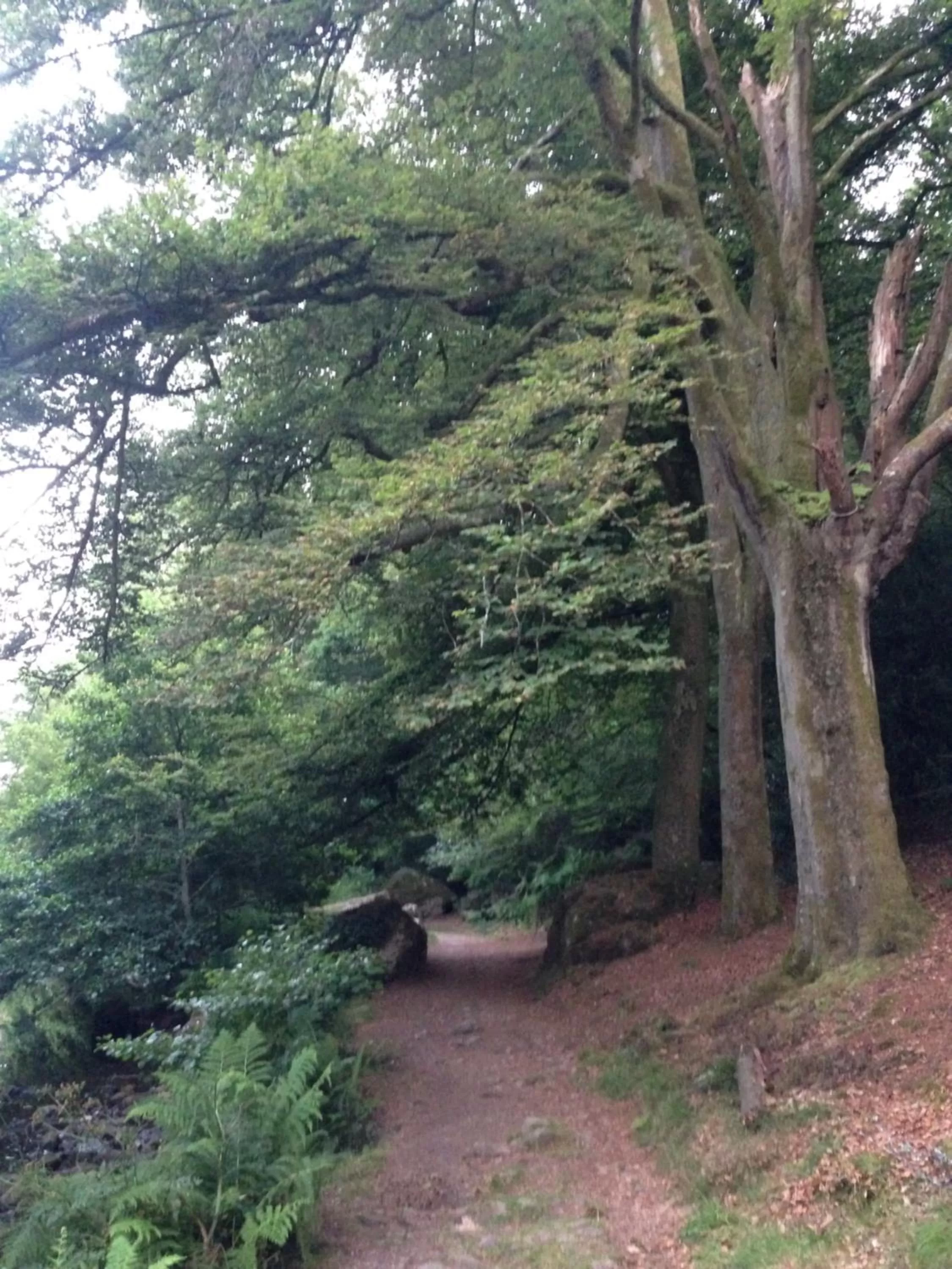Nearby landmark, Natural Landscape in Maison Castel Braz
