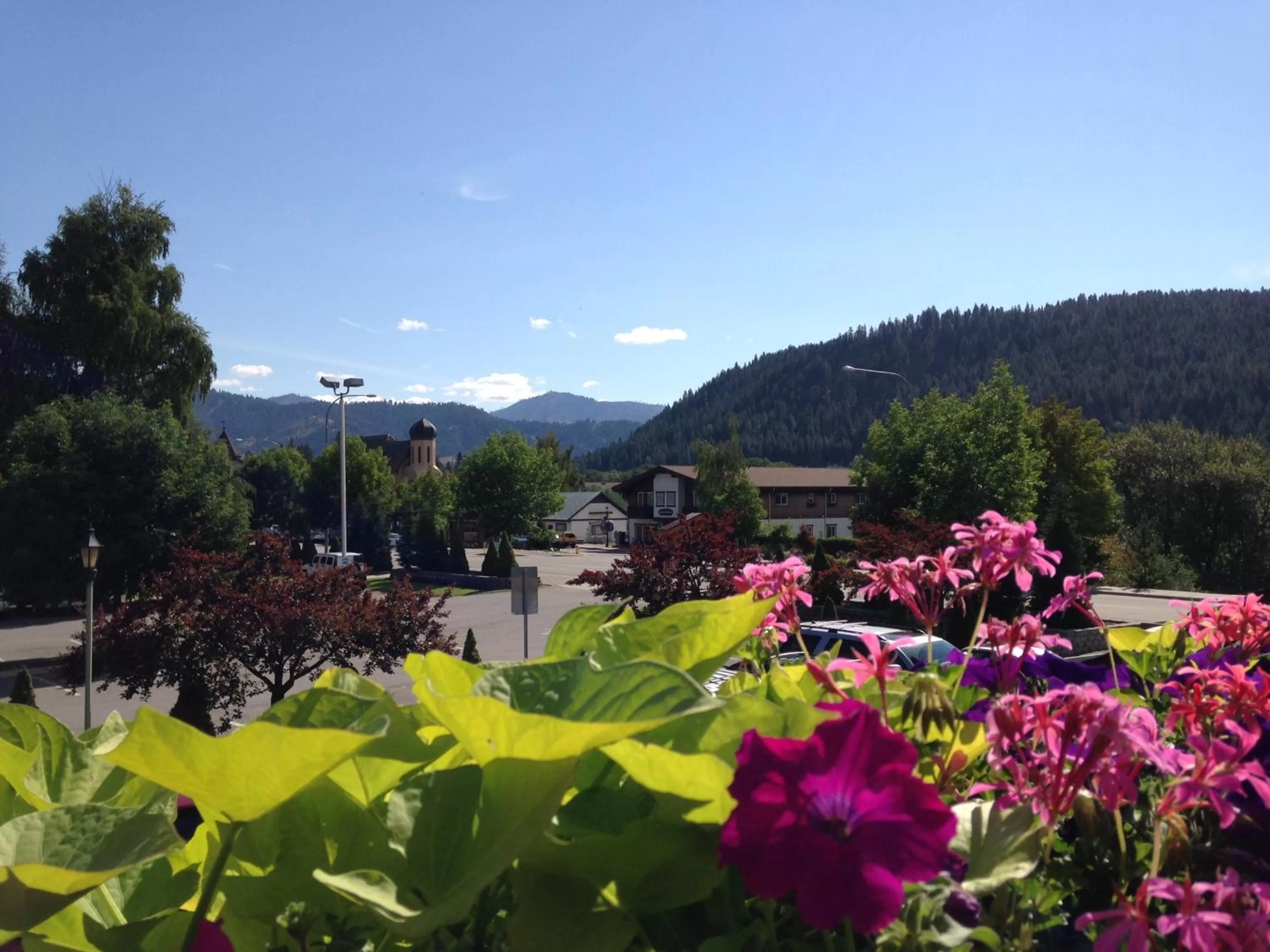 Area and facilities, Mountain View in Linderhof Inn