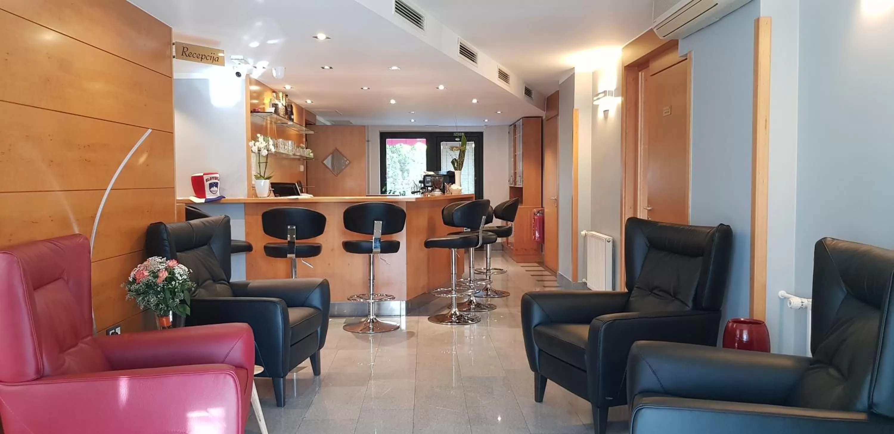 Lounge or bar in Hotel GH Kolinska