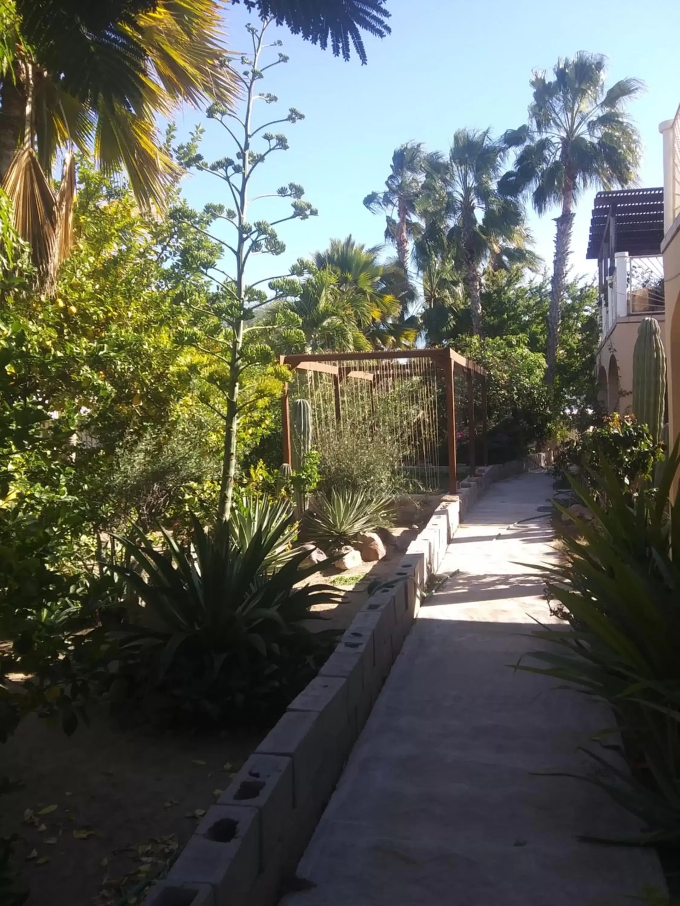 Garden in Coco Cabanas Loreto