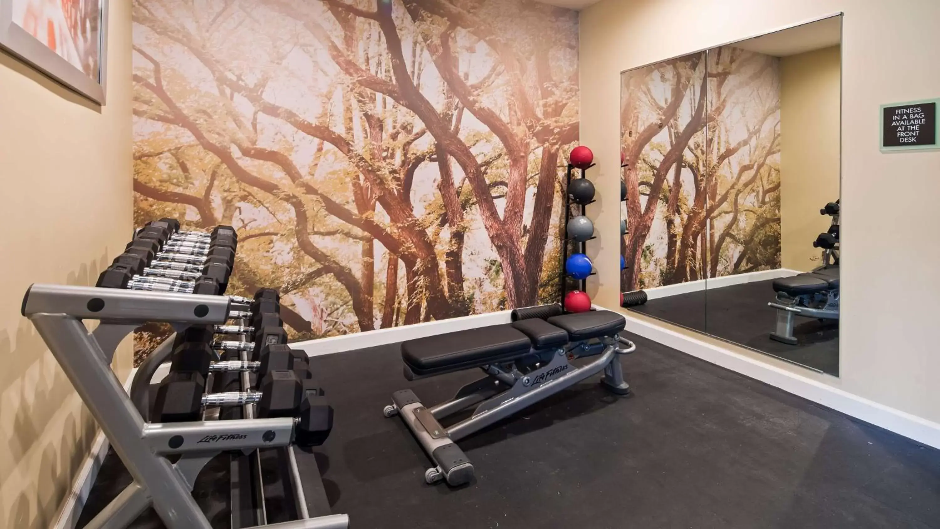 Fitness centre/facilities, Fitness Center/Facilities in Best Western Plus Harrisburg Mechanicsburg