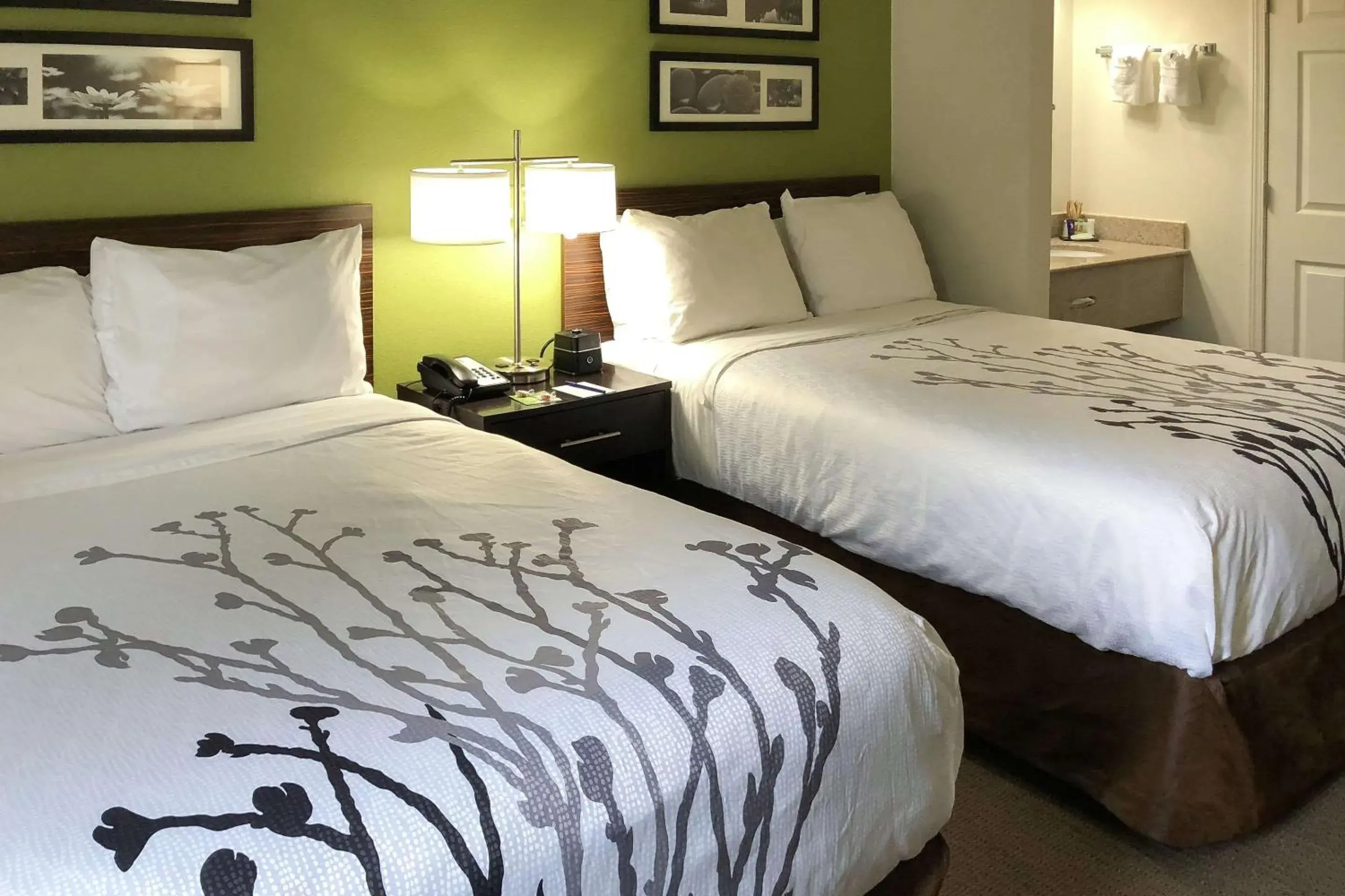 Photo of the whole room, Bed in Sleep Inn McDonough