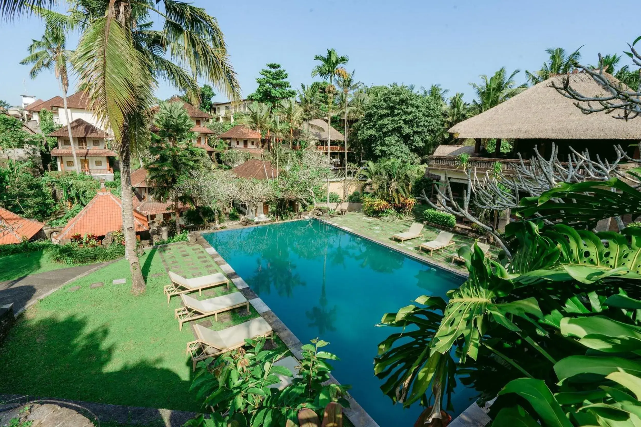Swimming pool, Pool View in Pertiwi Resort & Spa
