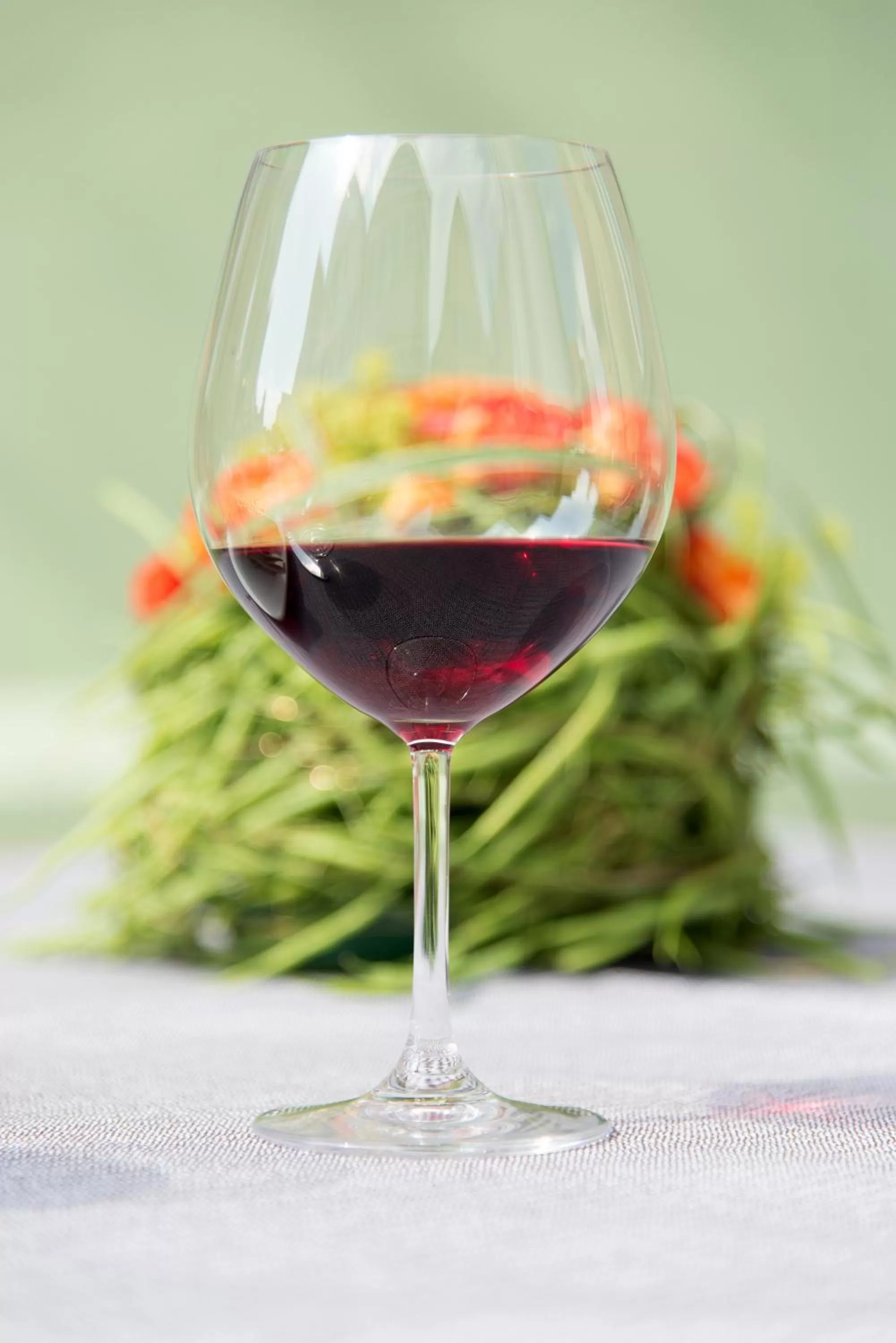 Drinks in Hotel PIAZZA