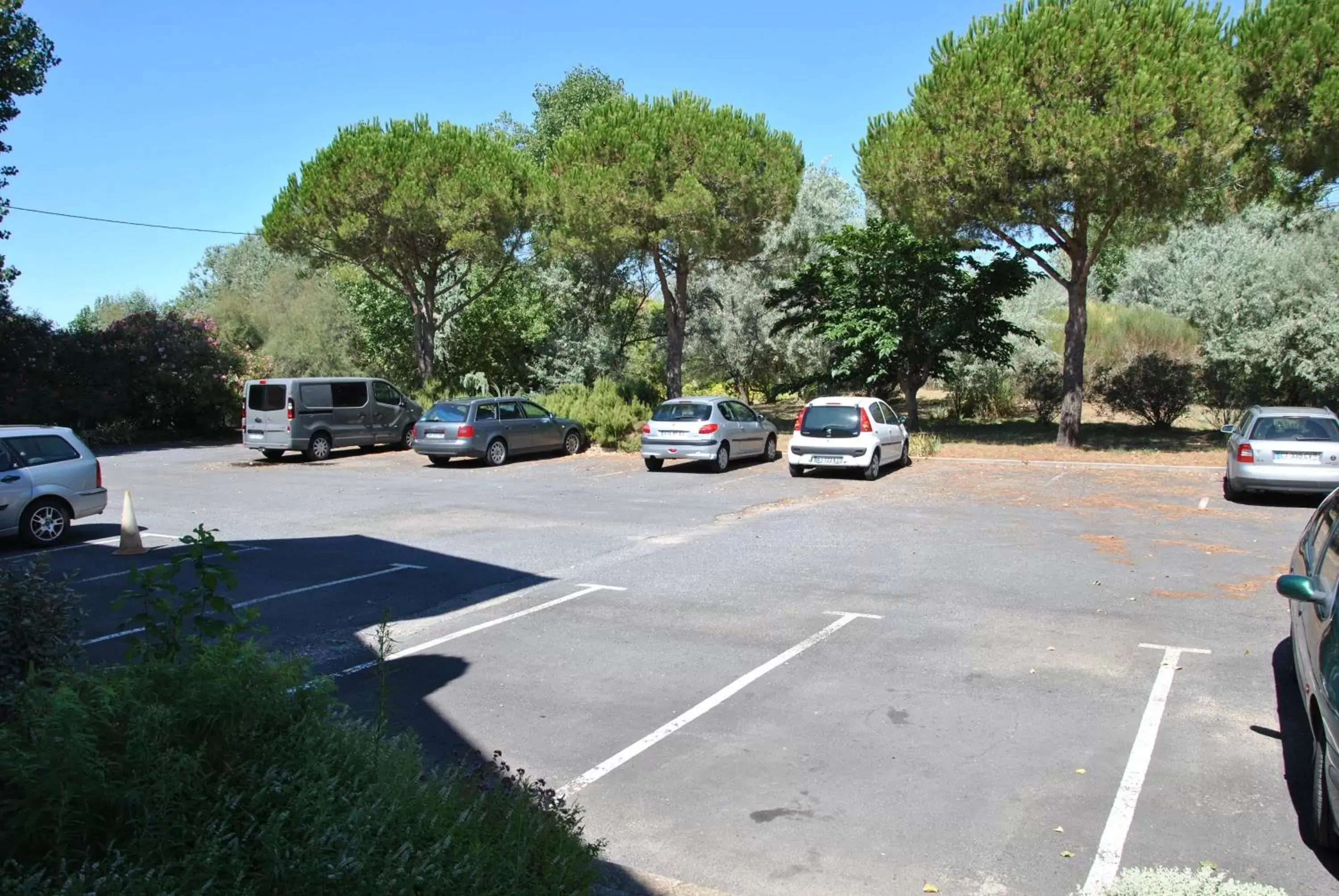 Garden in Hotel Albizzia