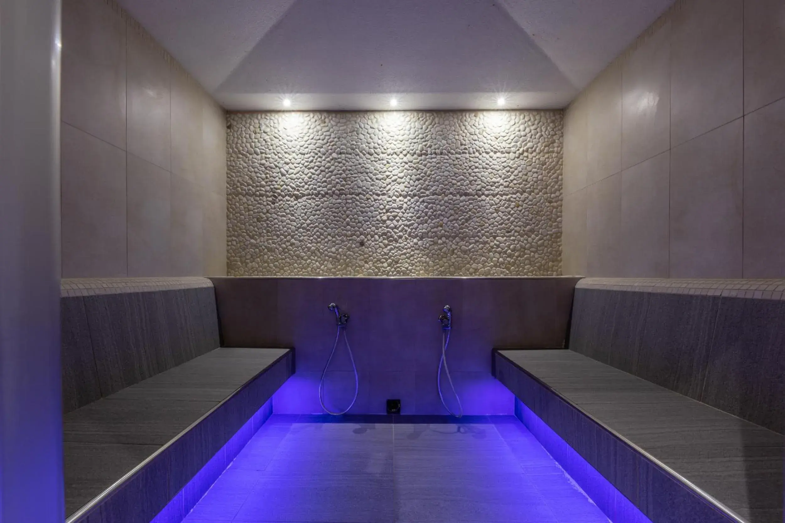 Steam room, Swimming Pool in Hotel Villa Madruzzo