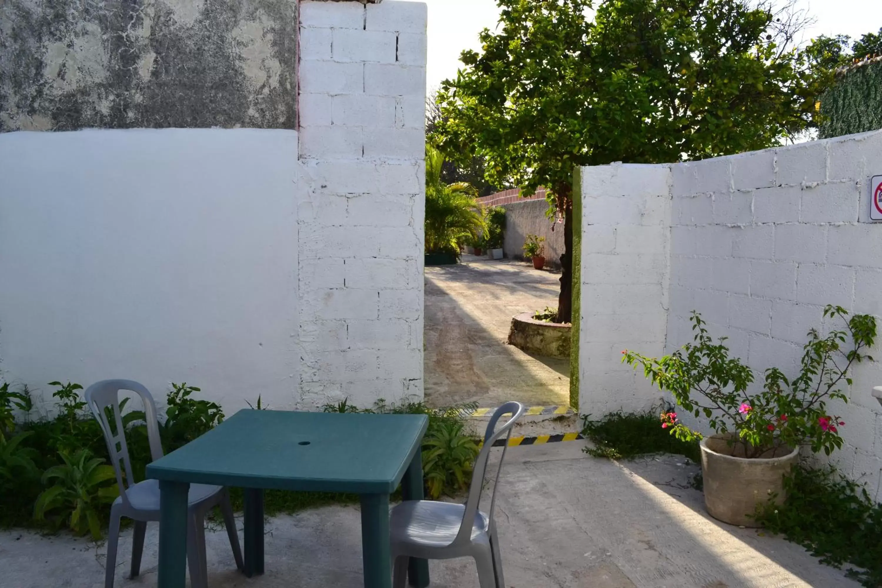 Communal kitchen in Casa Cuevas & Amaro