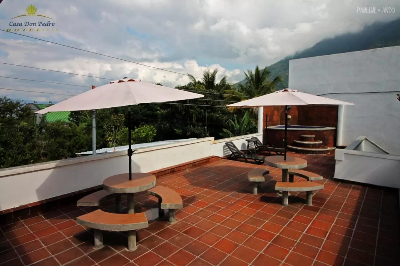 Balcony/Terrace in Hotel Casa don Pedro