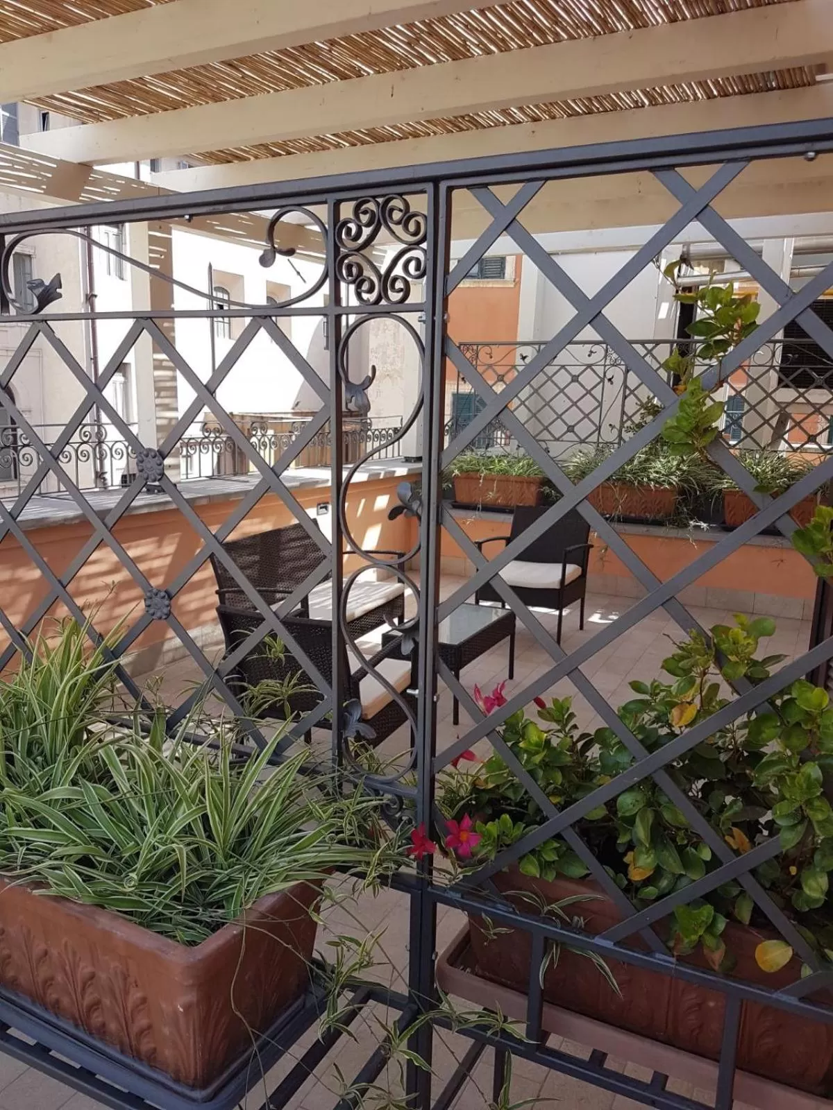 Balcony/Terrace in Hotel Bolivar