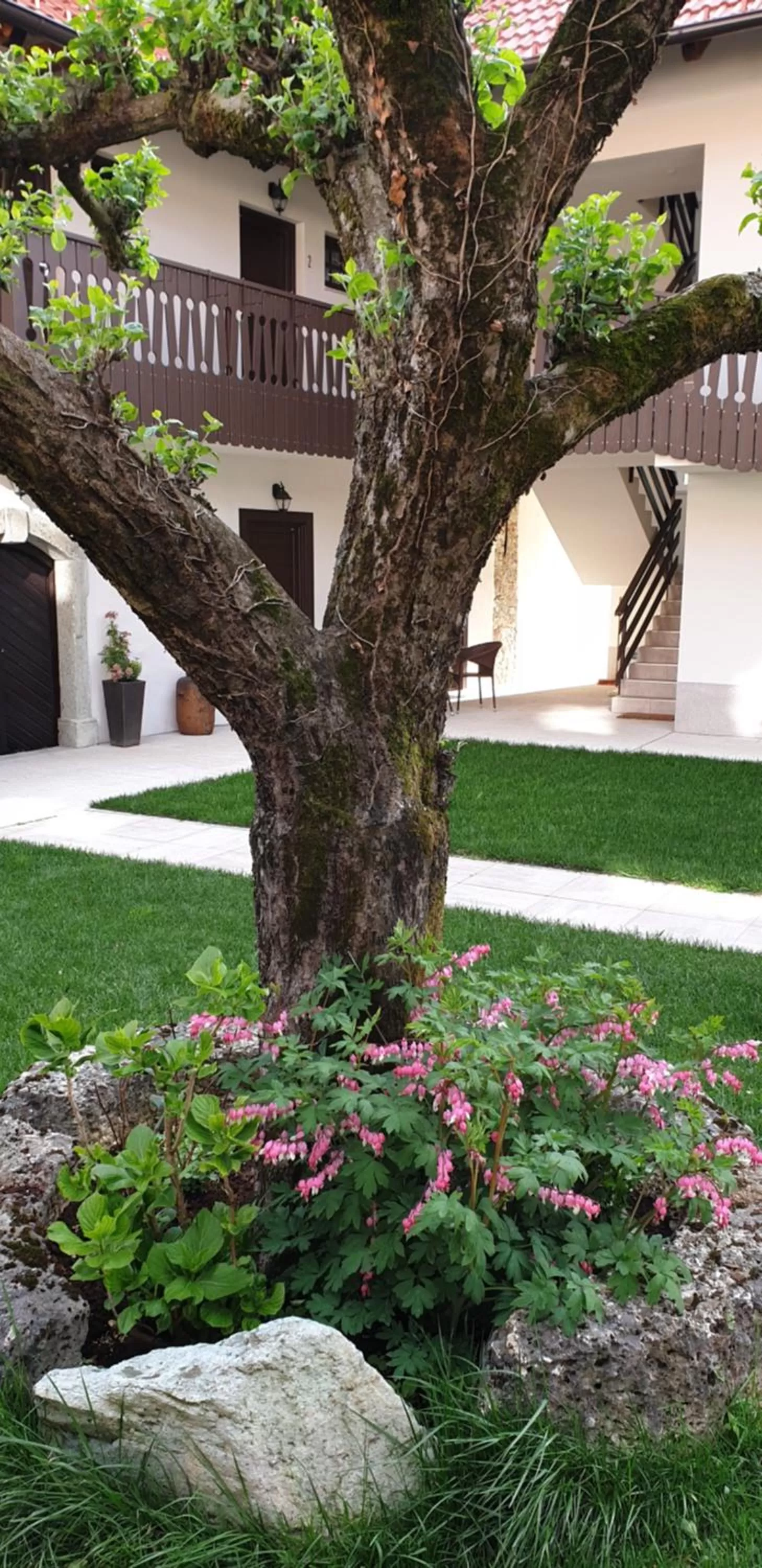 Garden in Resort Vidmar near Bled - rooms Vidmar