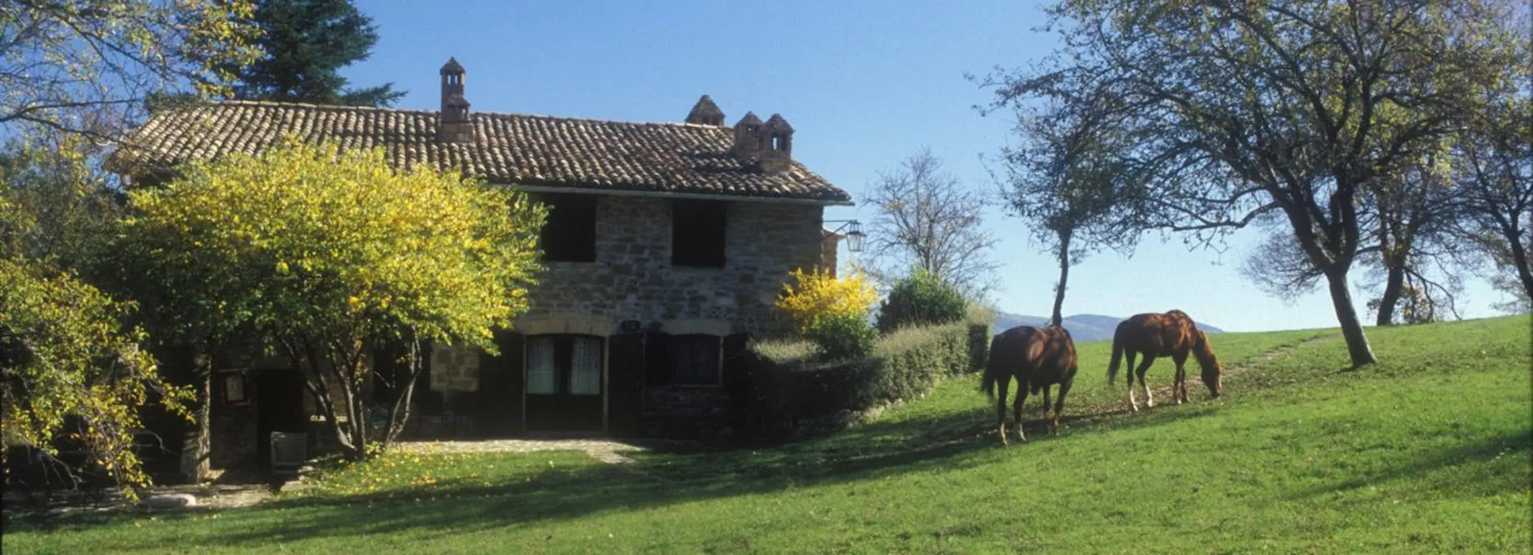 Property building in Le Silve di Armenzano Property building in Le Silve di Armenzano