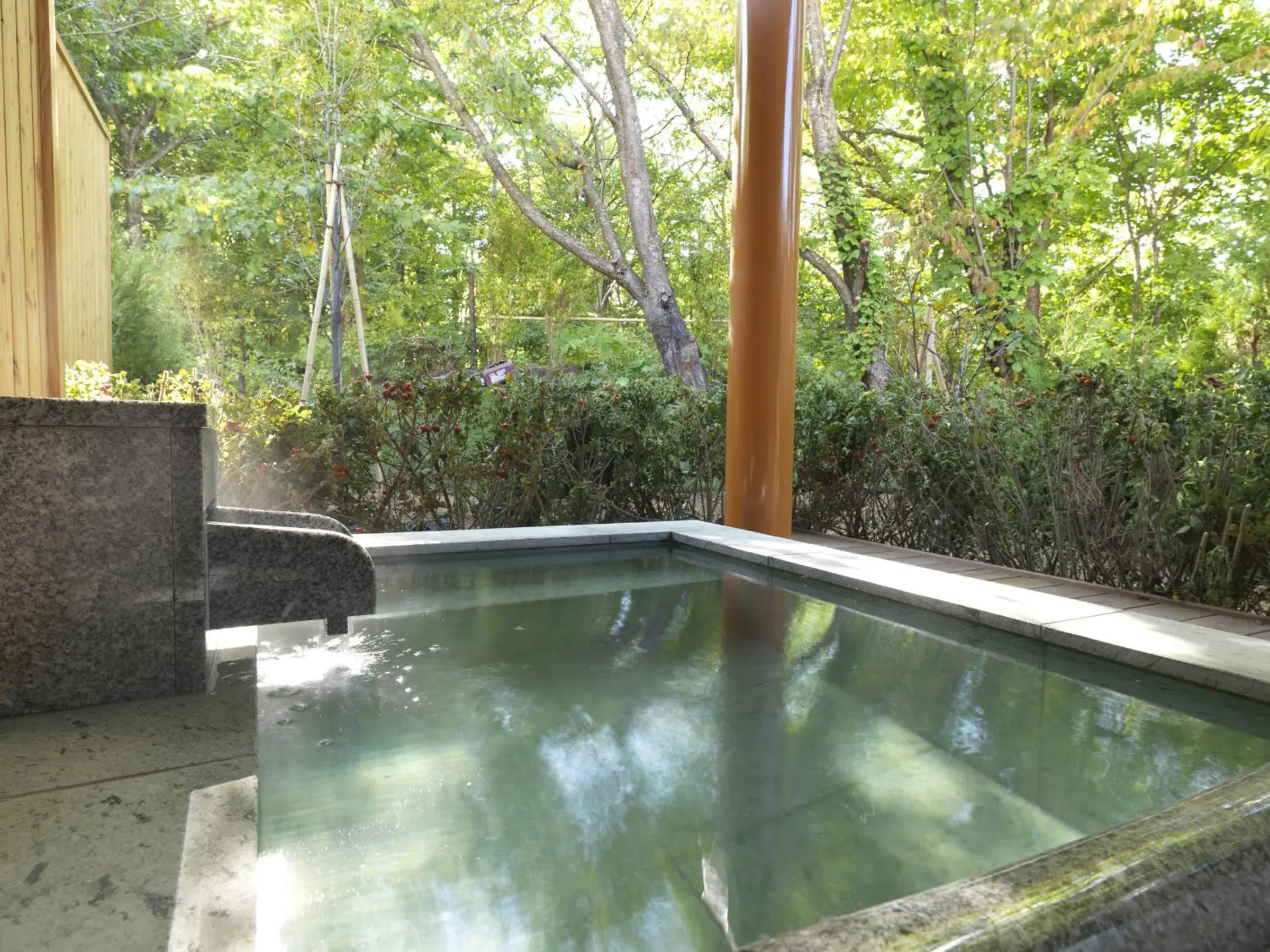 Hot Spring Bath, Swimming Pool in Jozankei Tsuruga Resort Spa Mori no Uta