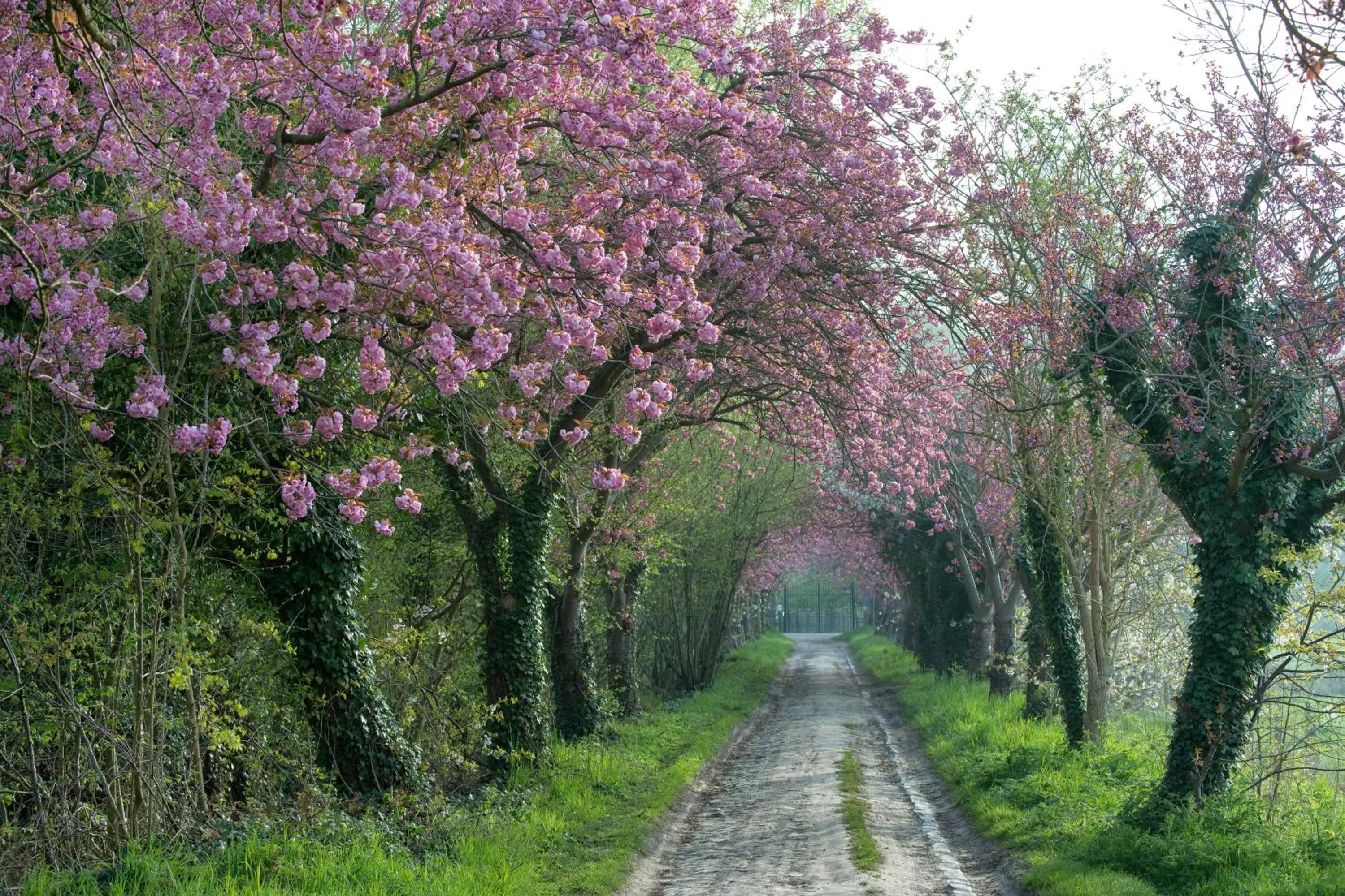 On site in B&B Baron’s House Neerijse-Leuven